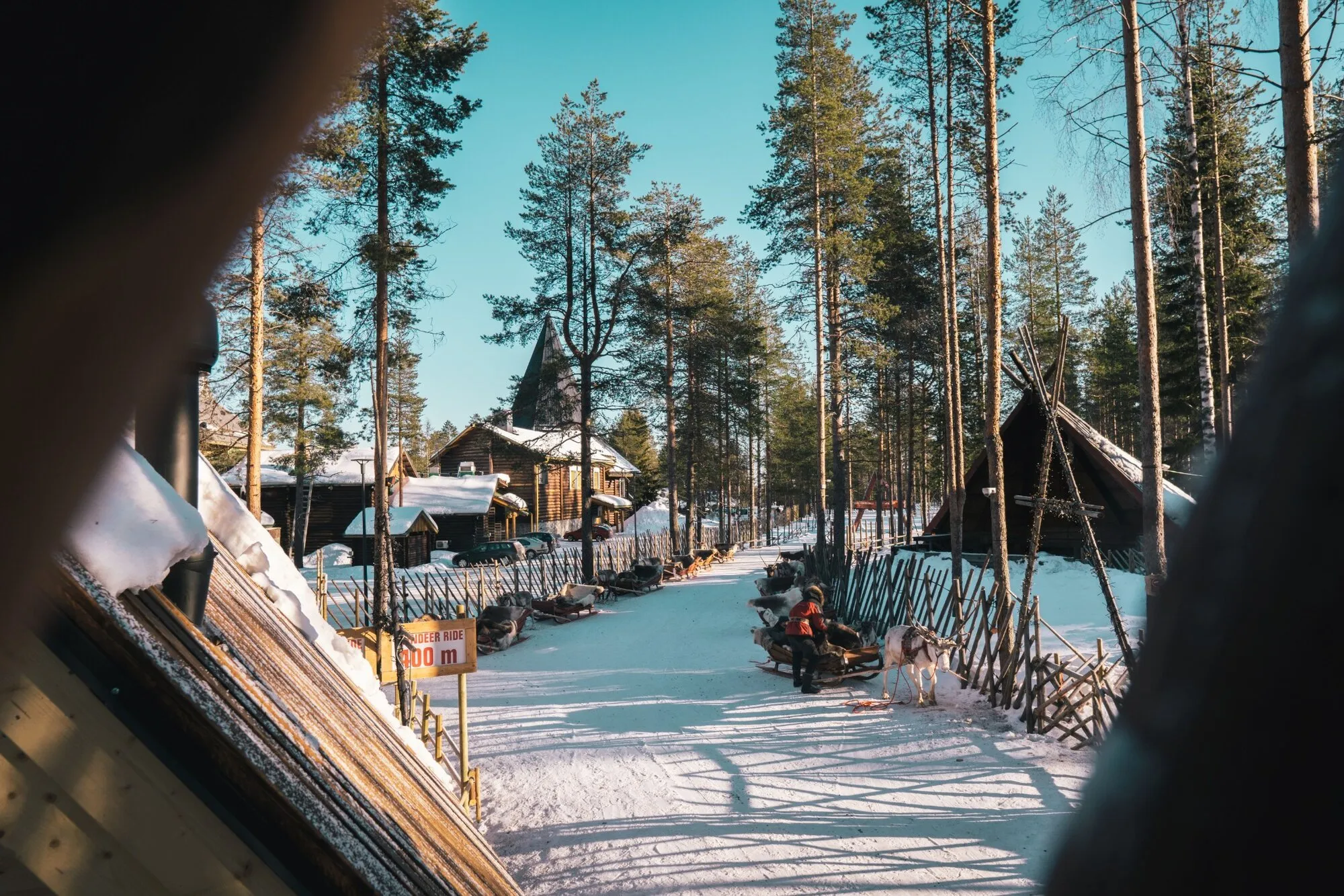 Snowy forest attraction viewed from inside a vehicle