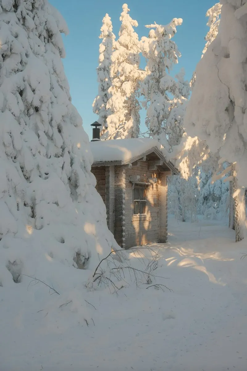 Reindeer standing on a snowy forest trail in Levi, Finnish Lapland
