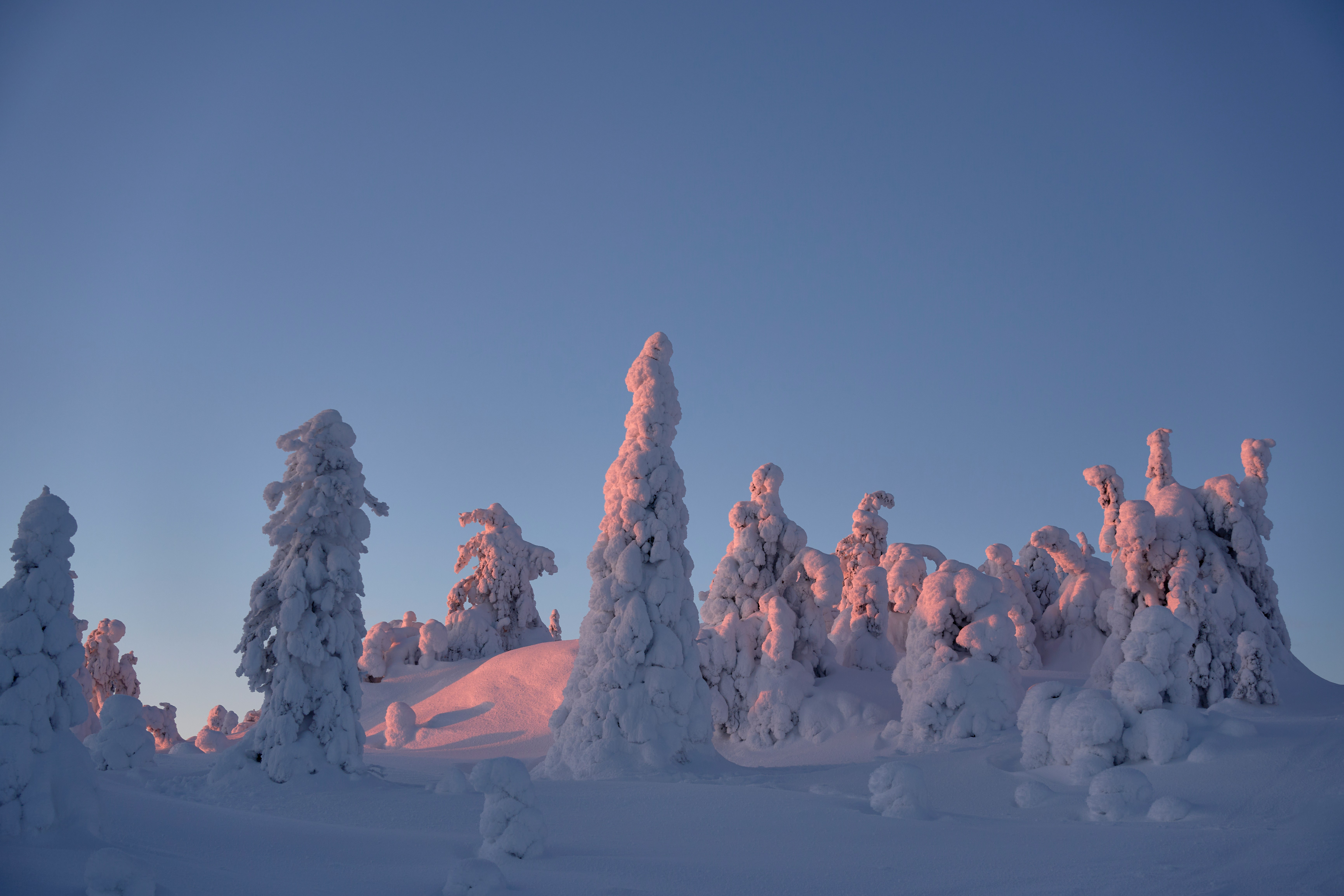 Wooden cabin in a snowy Lapland forest