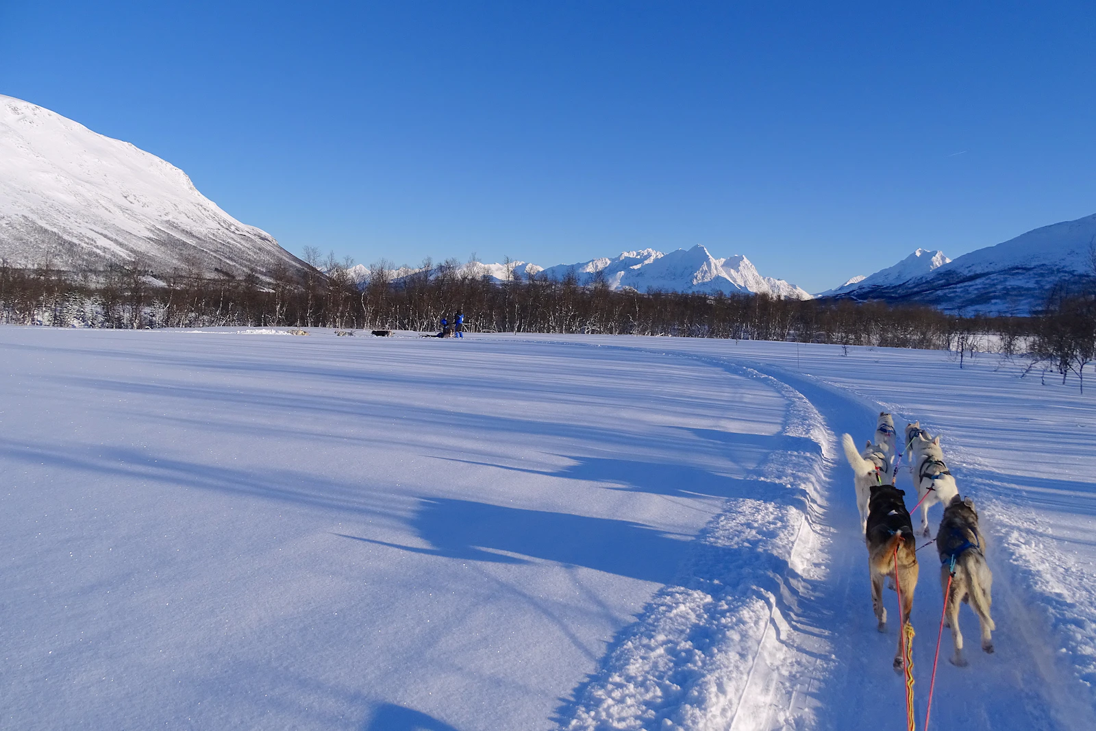 Husky team pulling a sled across open snow under a clear blue sky near Tromsø, Norway