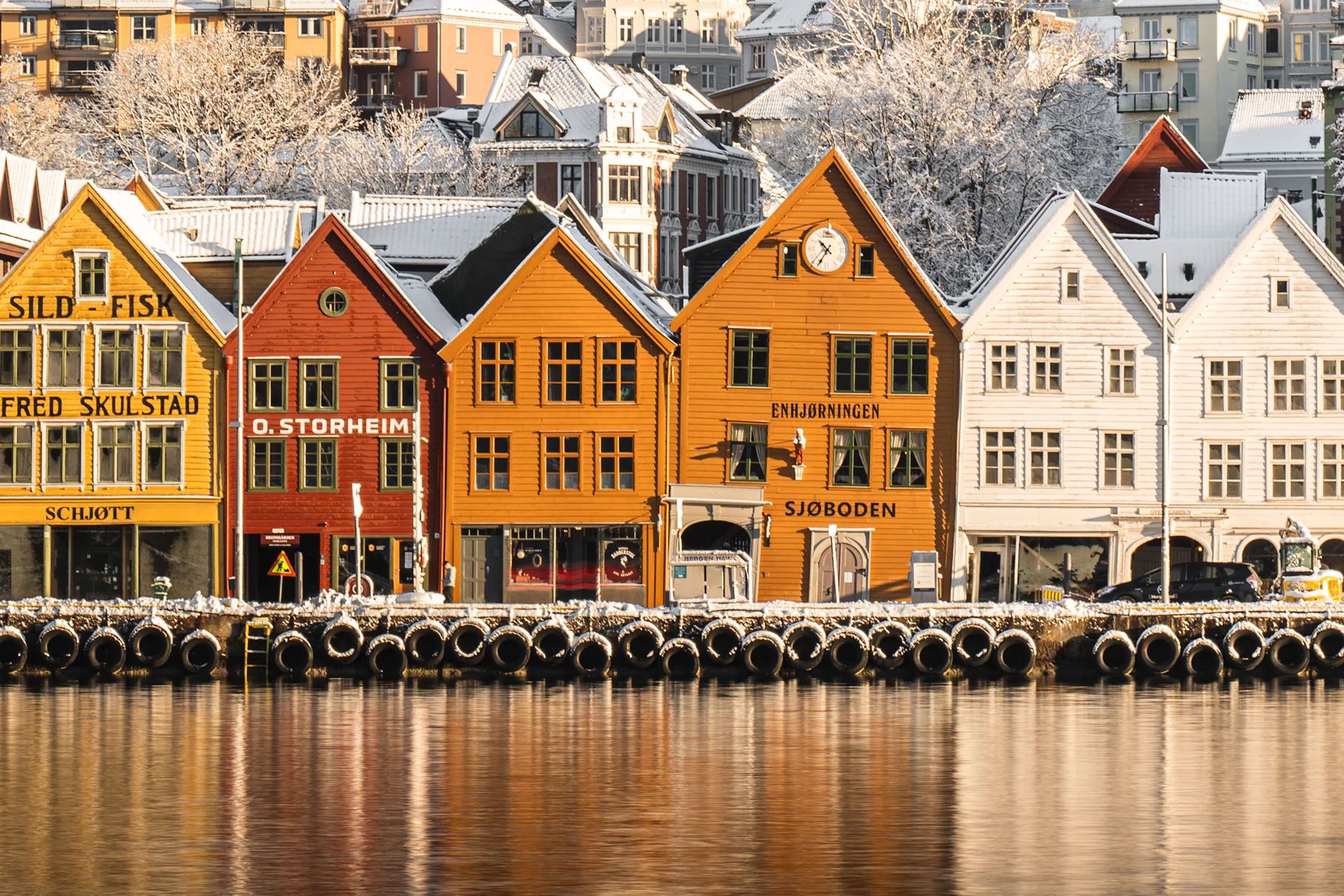 Colourful wooden houses of Bryggen on the Bergen waterfront after fresh snow, with frosted trees behind