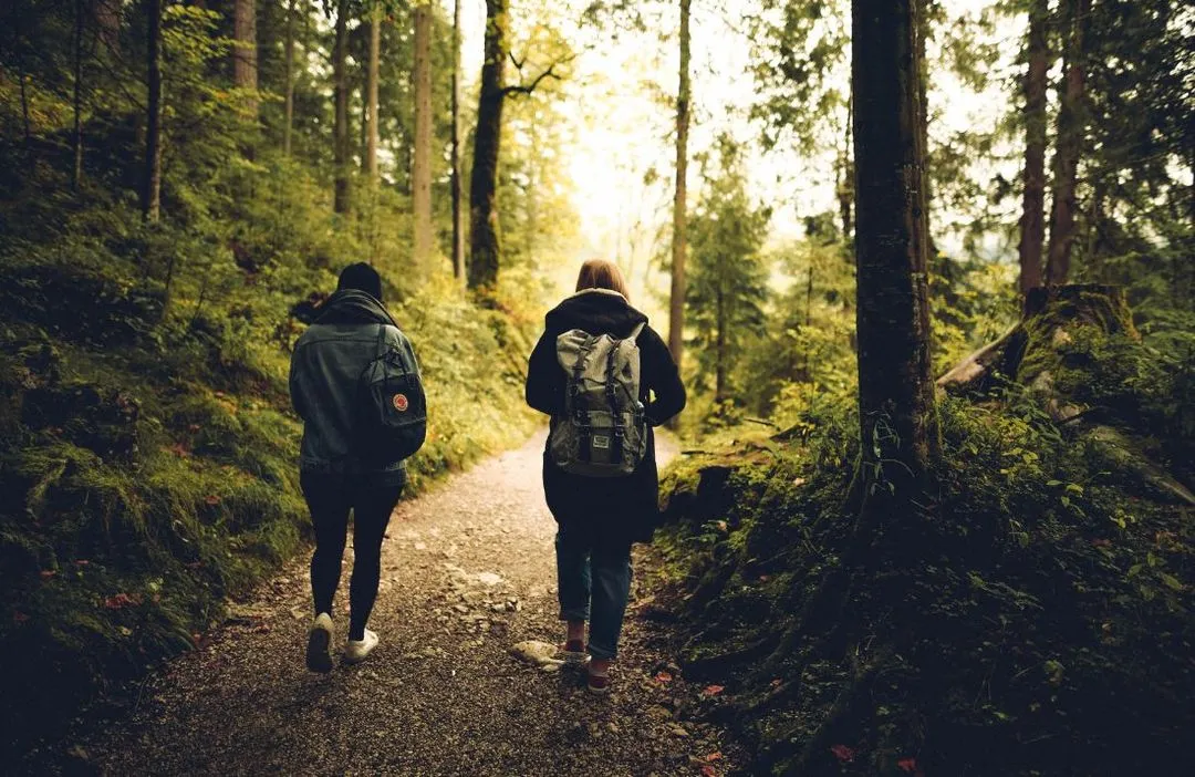 Walkers walking through the woods with backpacks on.