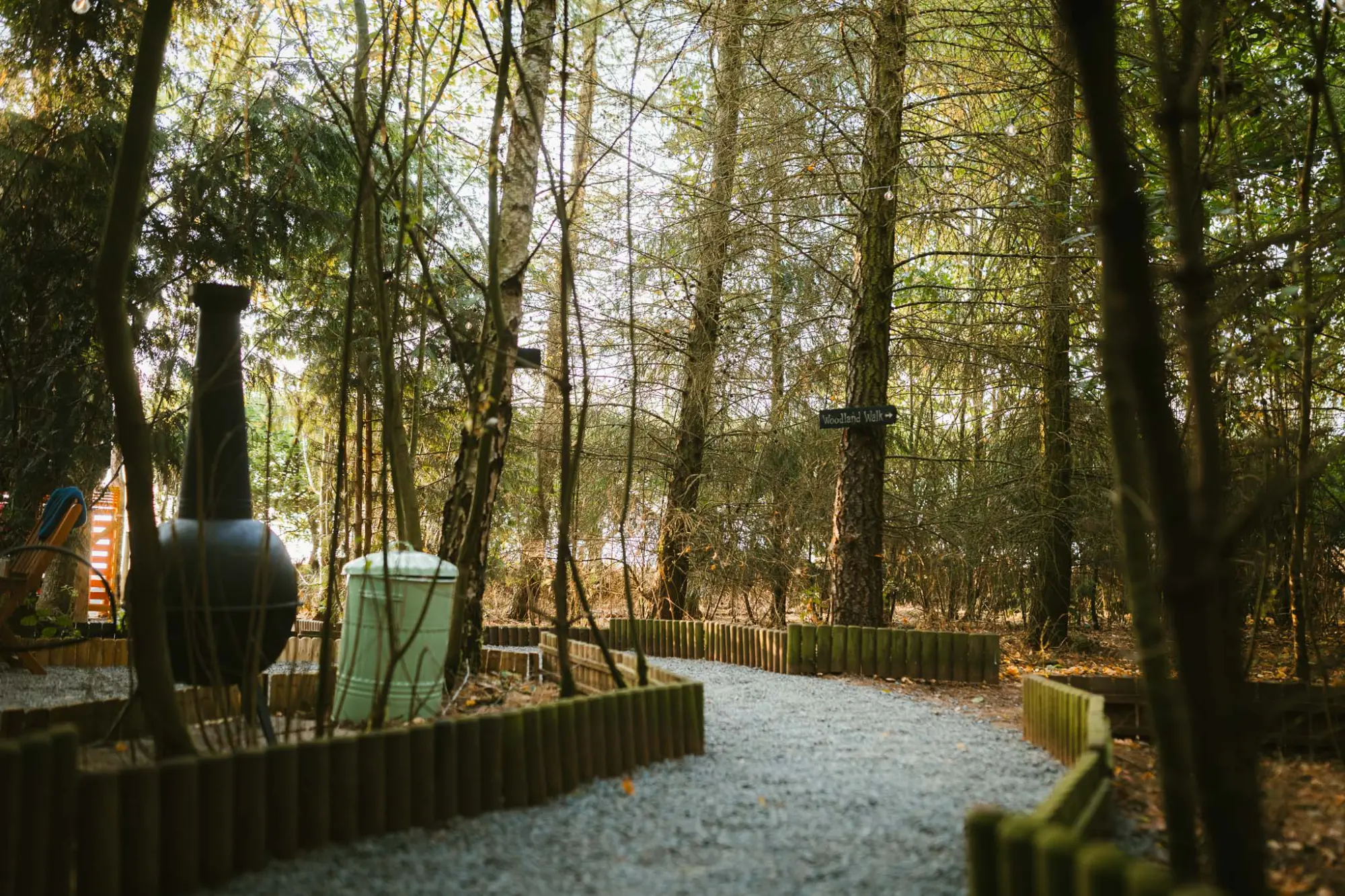 Gravel path through the woodland to the fire pit