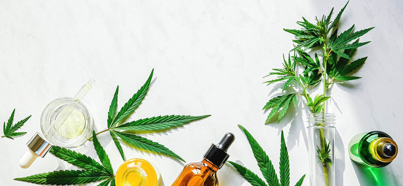 Status CBD w 2024 r. – podsumowanie