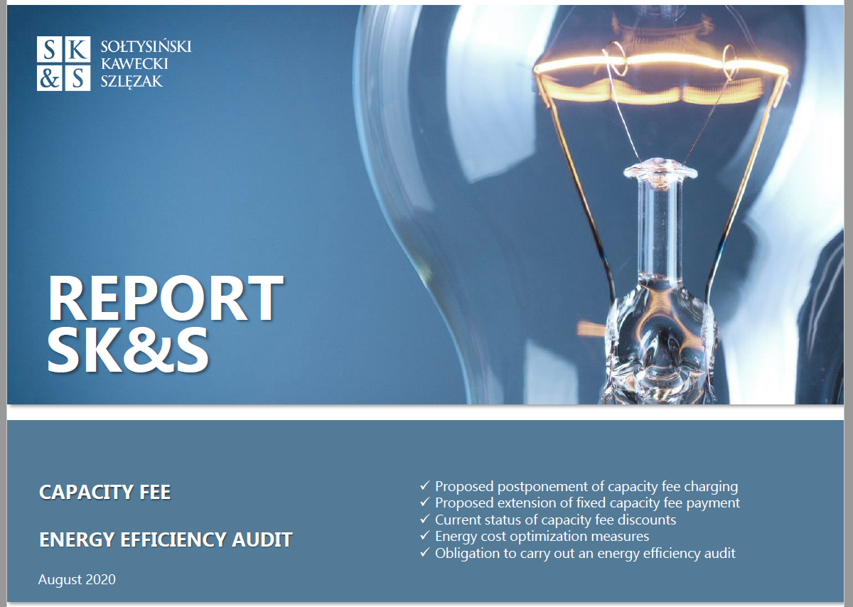 REPORT SK&S | Capacity fee. Energy efficiency audit 2