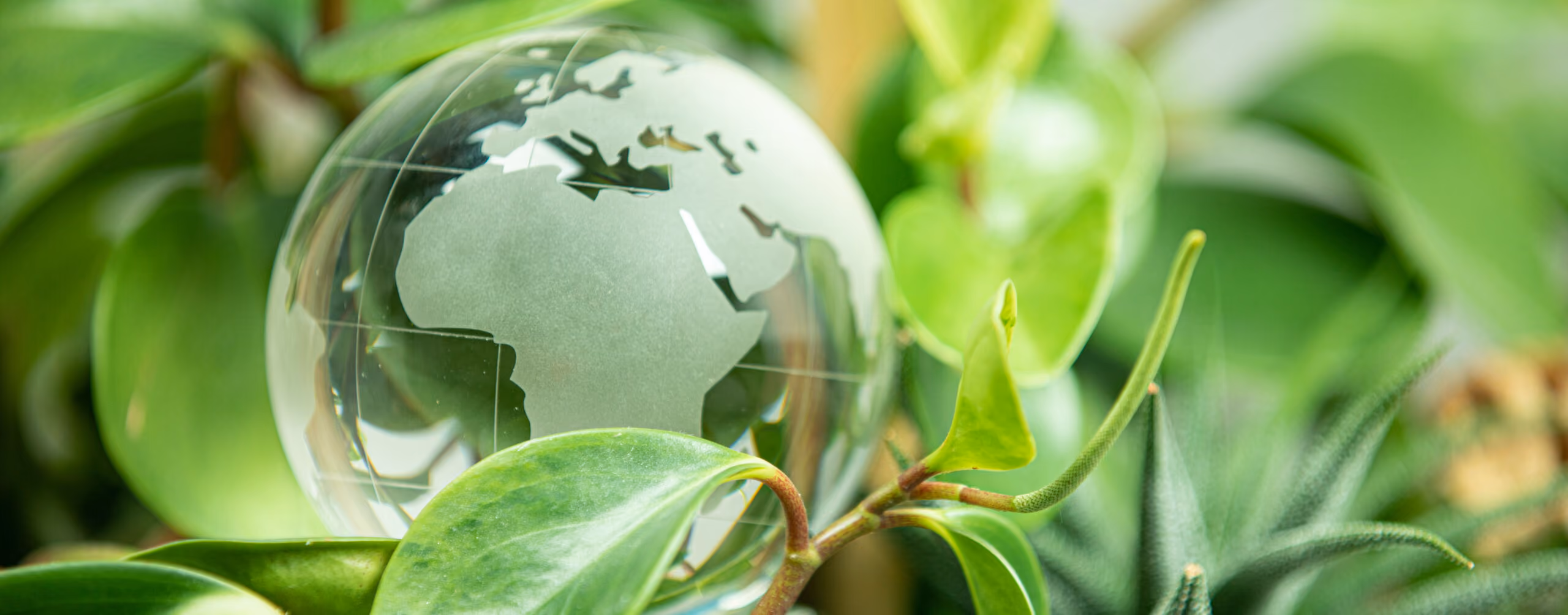 Legal Alert | Nuclear power and natural gas – criteria for classifying activities as environmentally sustainable and new information obligations