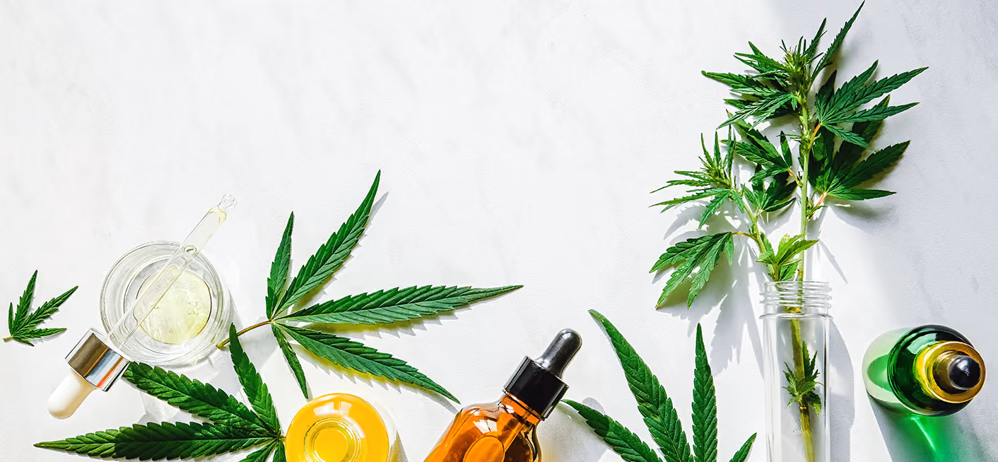 Status CBD w 2024 r. – podsumowanie