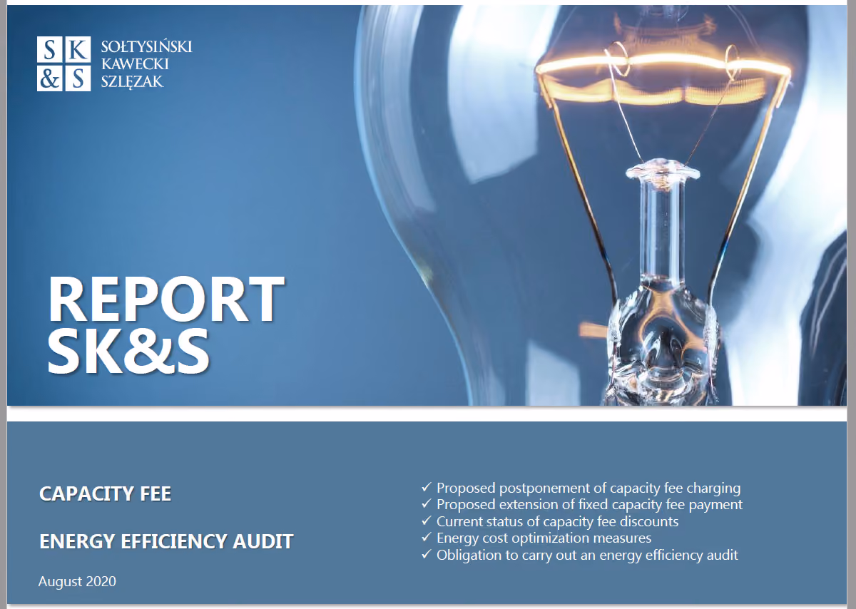 REPORT SK&S | Capacity fee. Energy efficiency audit 2