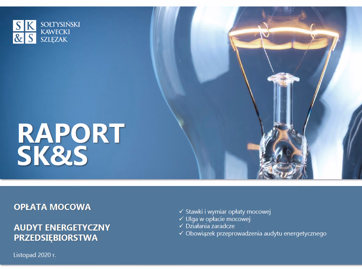 REPORT SK&S | Capacity fee. Energy efficiency audit | November 2020