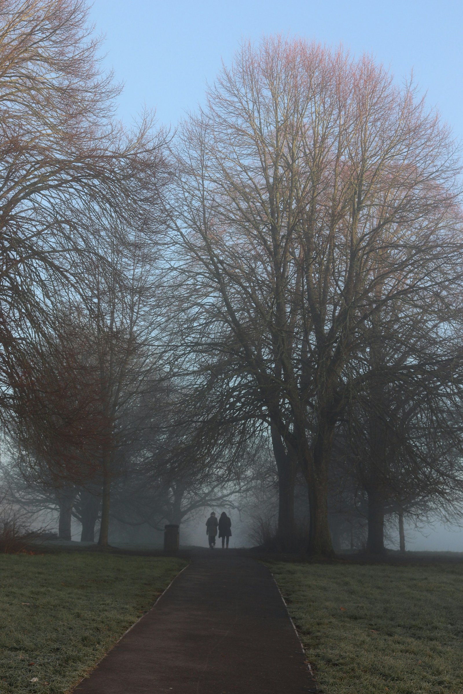 Herbstblues oder Winterdepression? Symptome erkennen und die dunkle Jahreszeit besser bewältigen Link kopieren