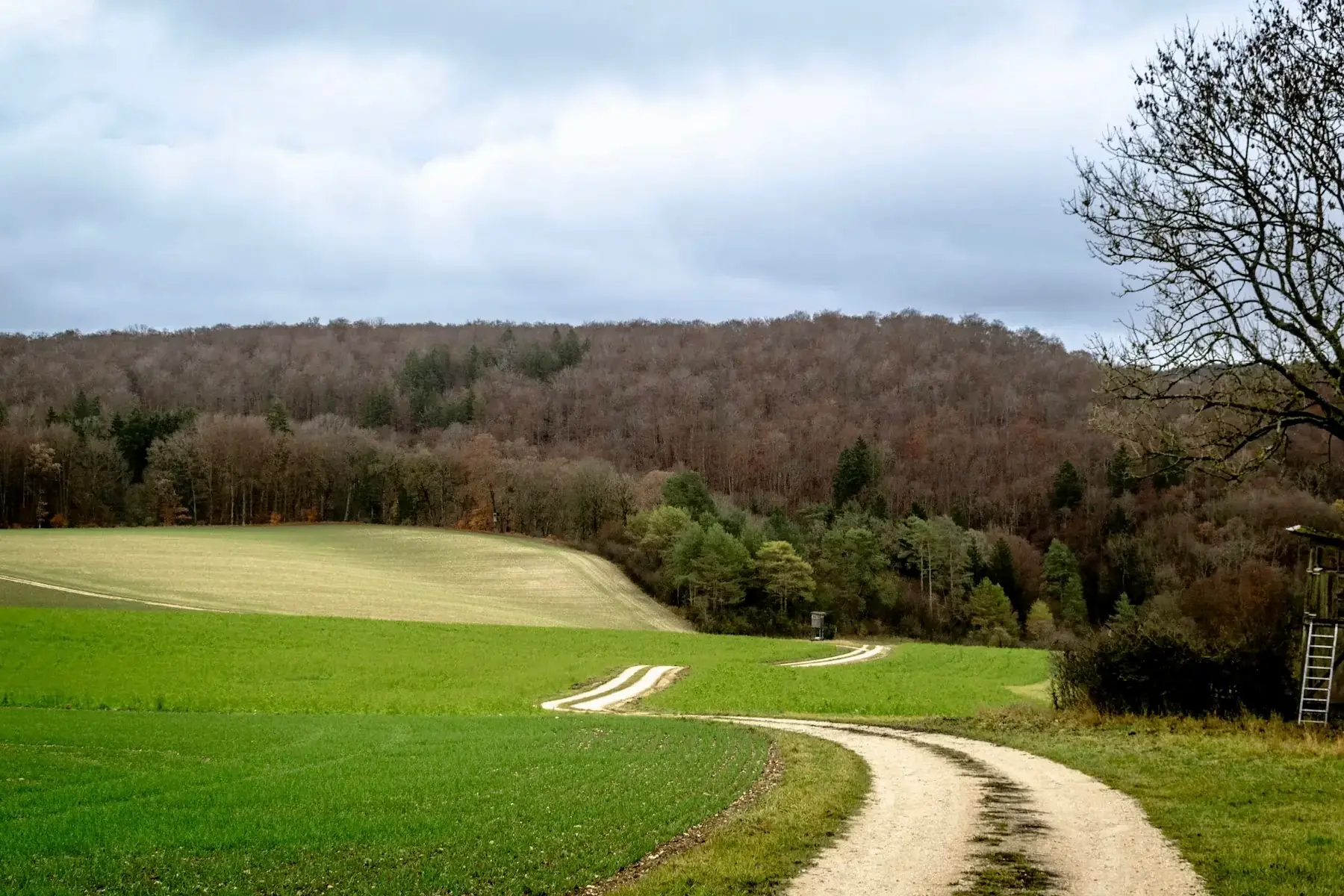 Zufahrtsweg zu einem Seminarhaus in ruhiger Naturlandschaft