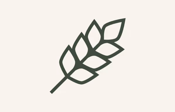 Subism web design and development agency