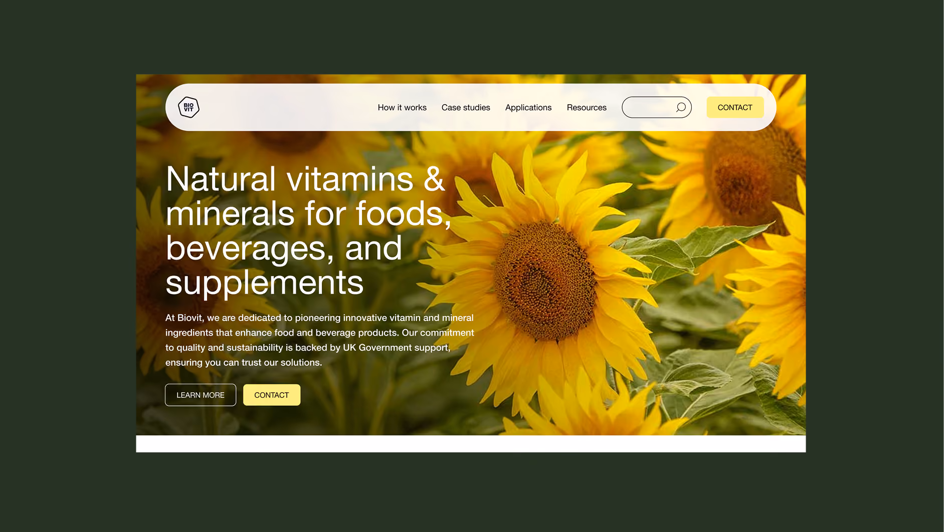 Subism web design and development agency
