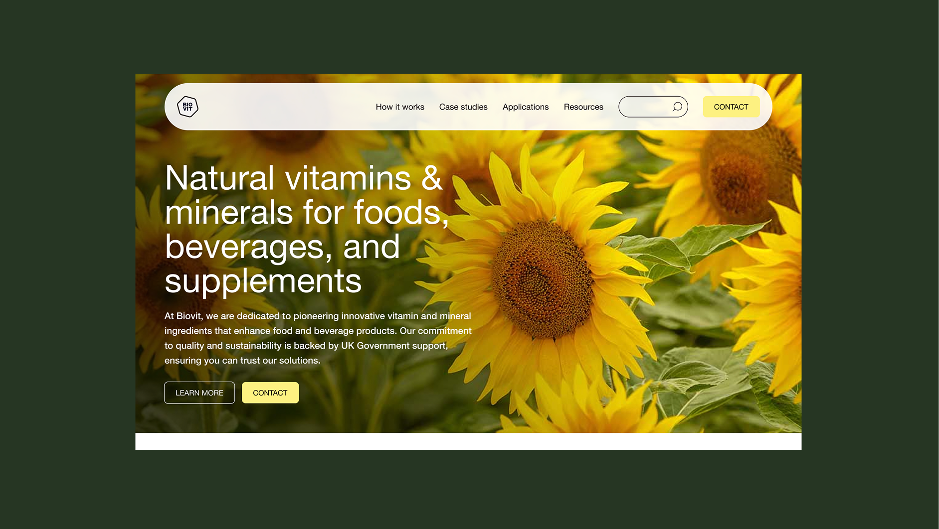 Subism web design and development agency