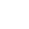 Silhouette of a maple leaf icon.