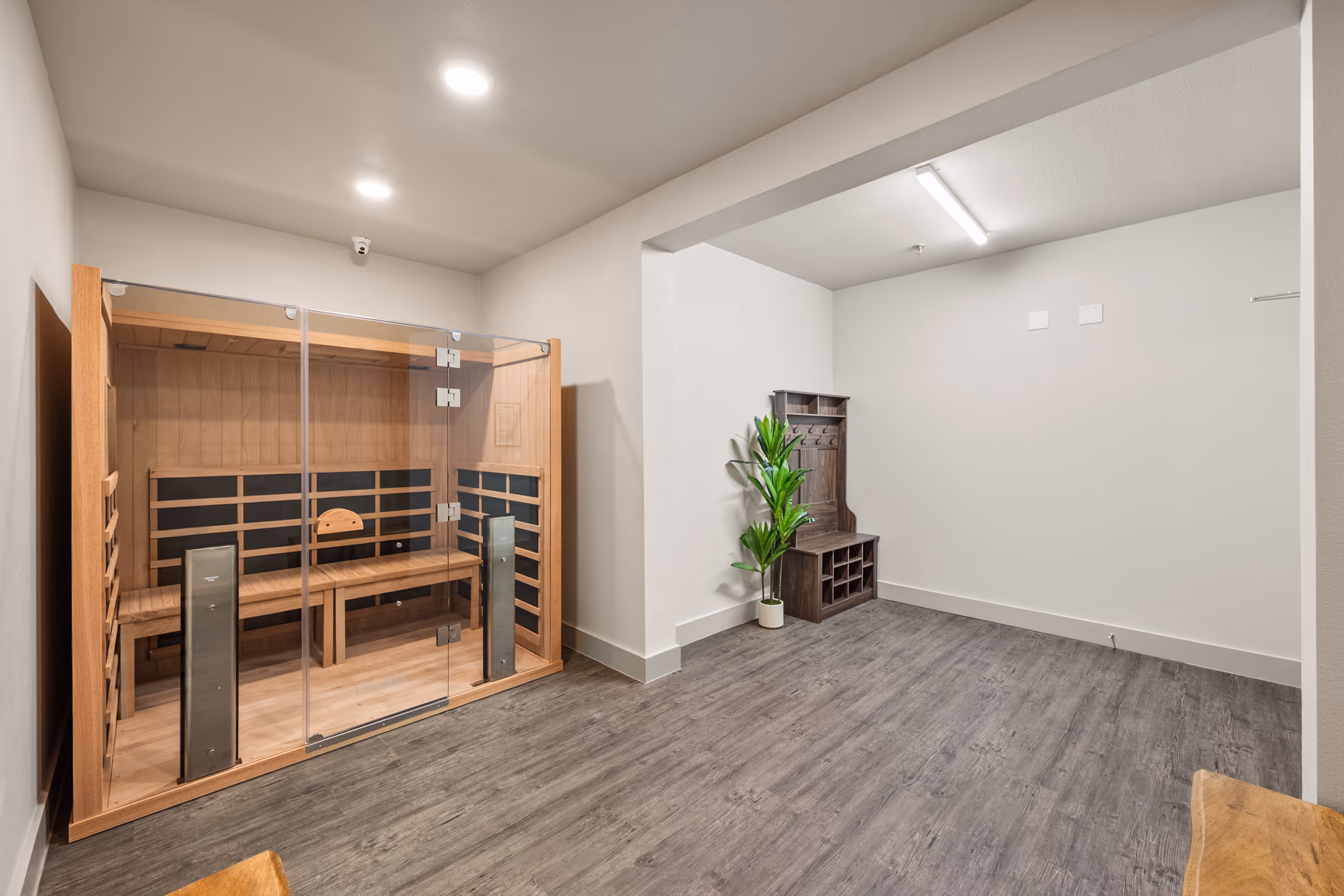 Sauna room