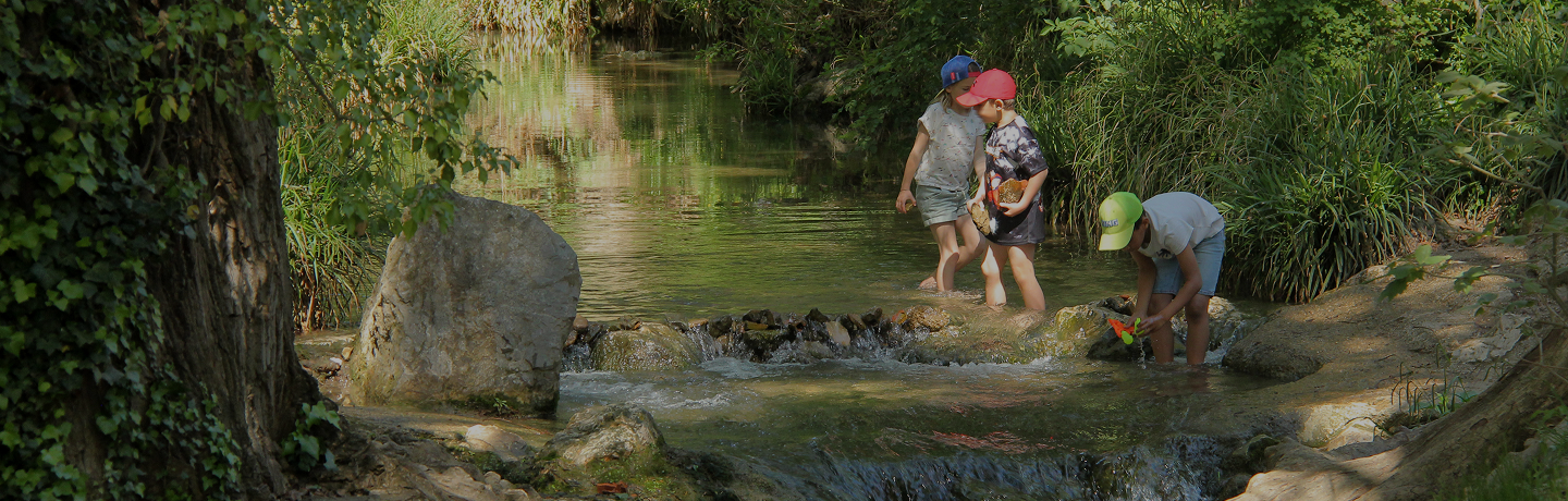 Trois enfants jouent dans une rivière peu profonde bordée d’arbres et de végétation dense.