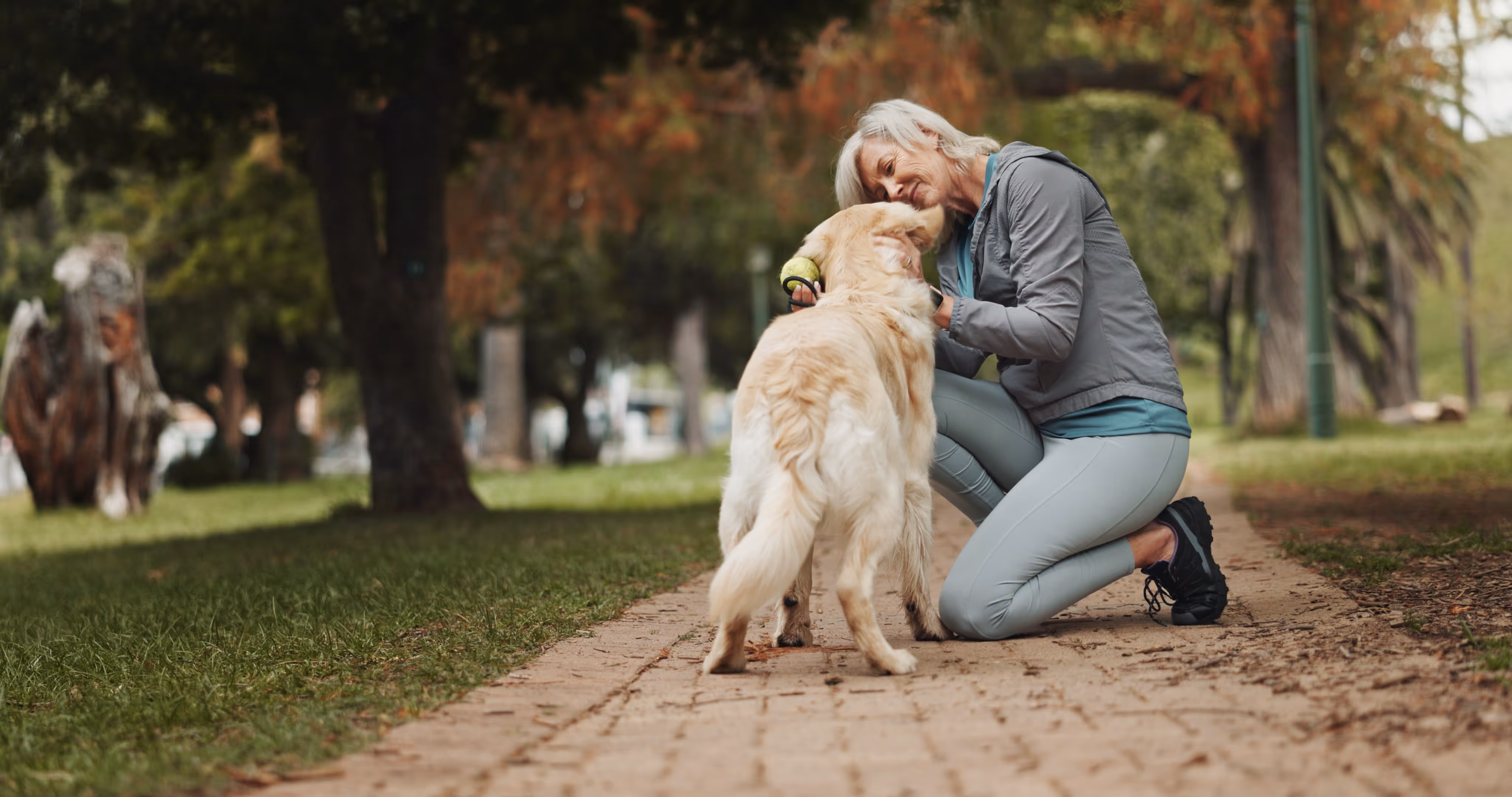 Woman with dog in the park stock image