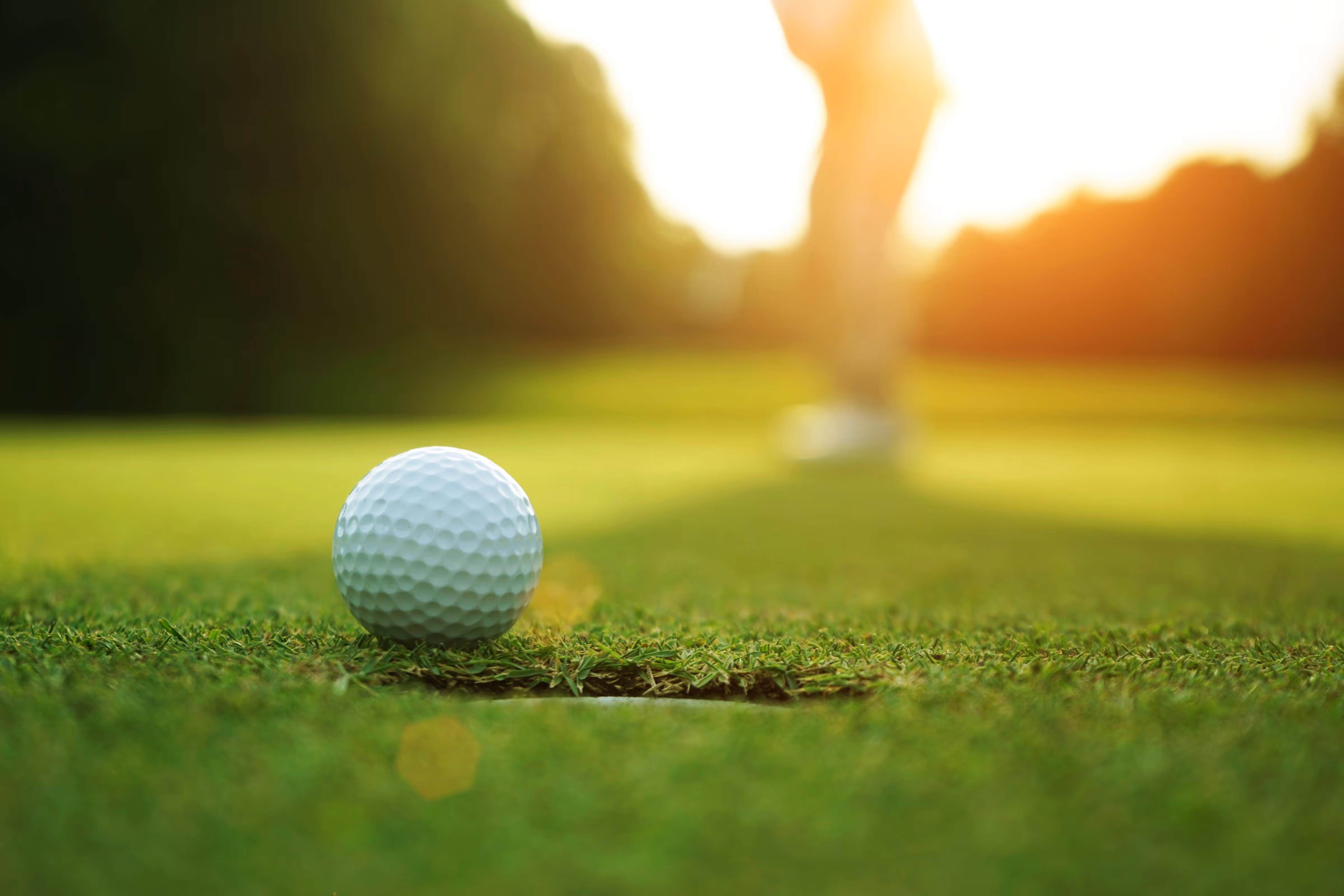 Gold ball on the grass stock image