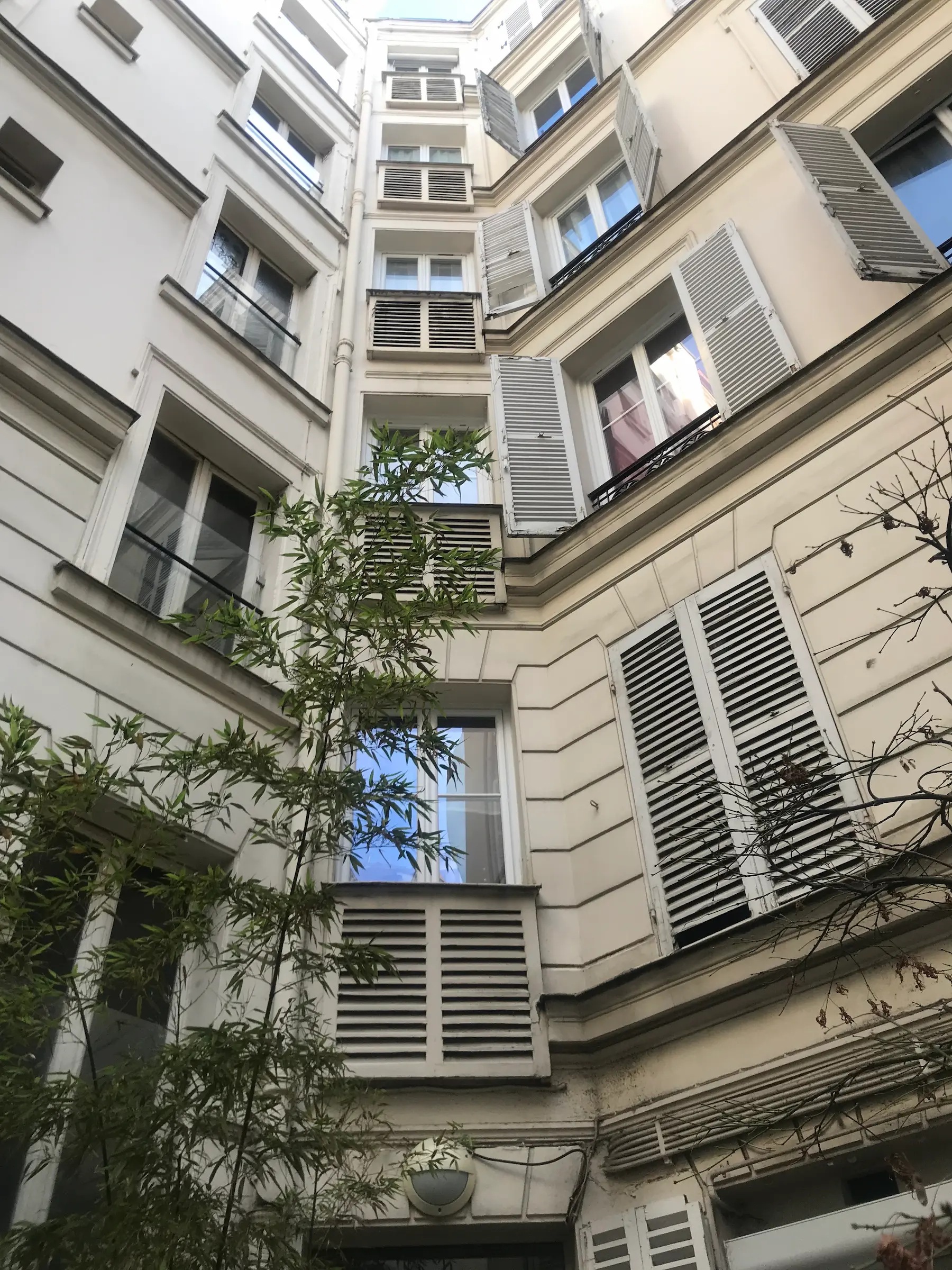 Immeuble ancien avec volets blancs ouverts et plantes dans une cour intérieure.