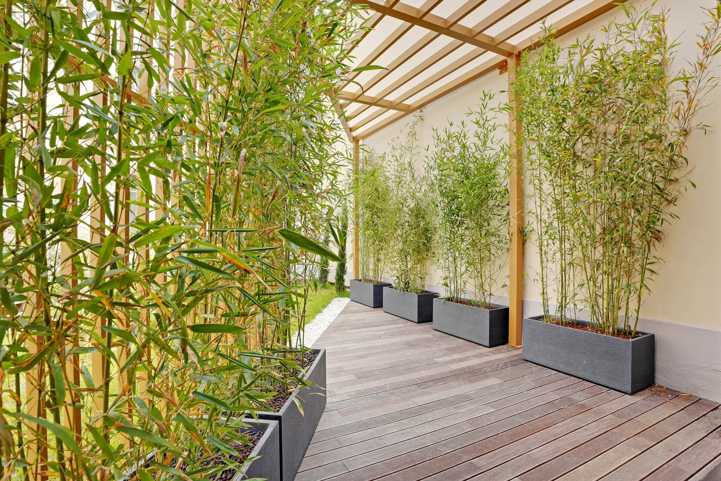 Terrasse — construction d'une maison individuelle, avenue de la Sœur-Rosalie, Paris 13e