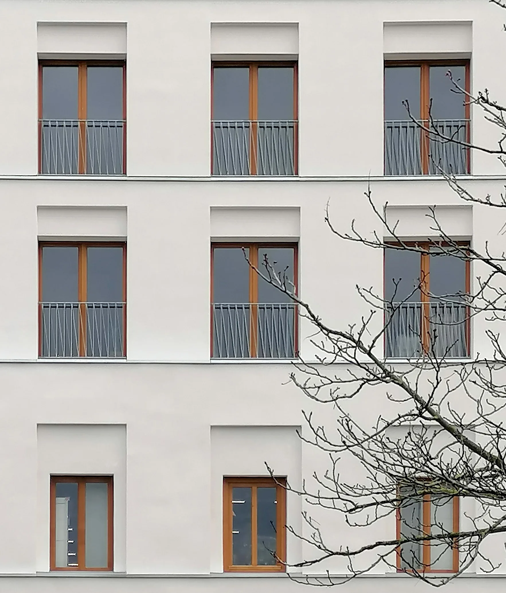 Détail de façade — surélévation d'une auberge de jeunesse Les Piaules, place de la Nation, Paris 12e
