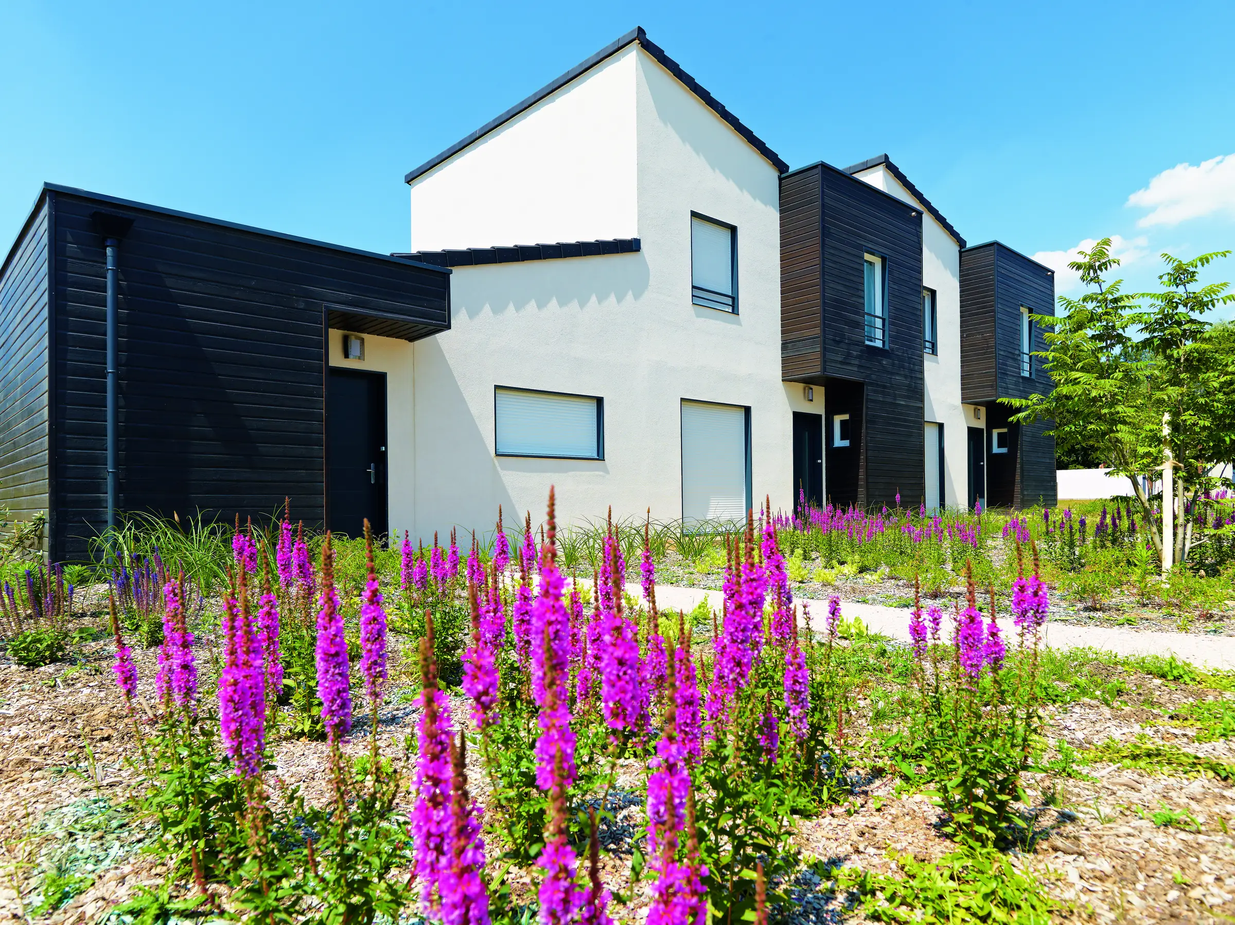 Vue d'ensemble — création hors-site d'un écoquartier de 75 maisons de ville, Bois Plaisance, Vert-Saint-Denis (77)