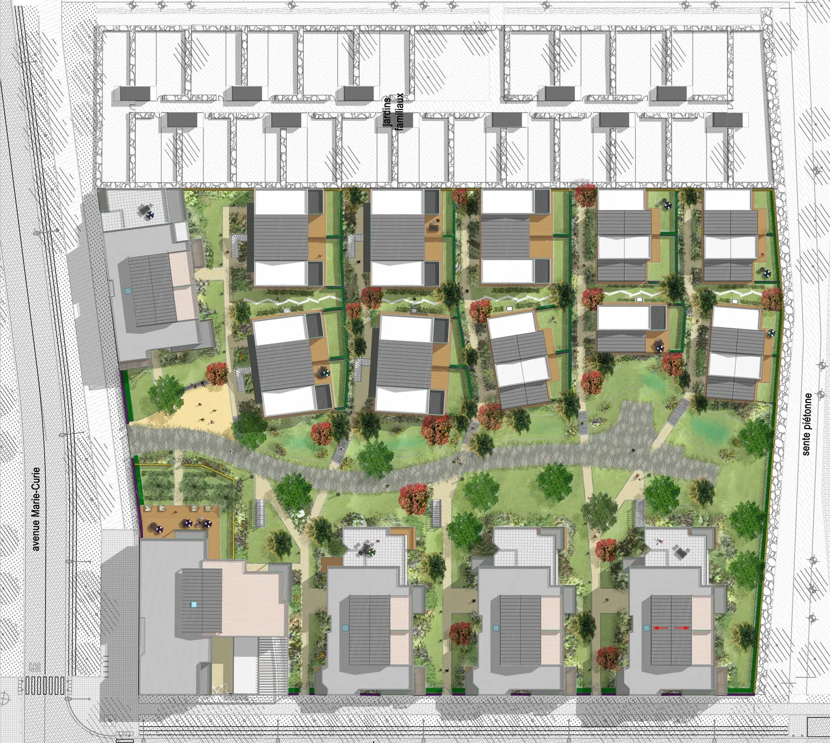 Plan masse — construction neuve de logements, écoquartier du Sycomore, Bussy-Saint-Georges (77)