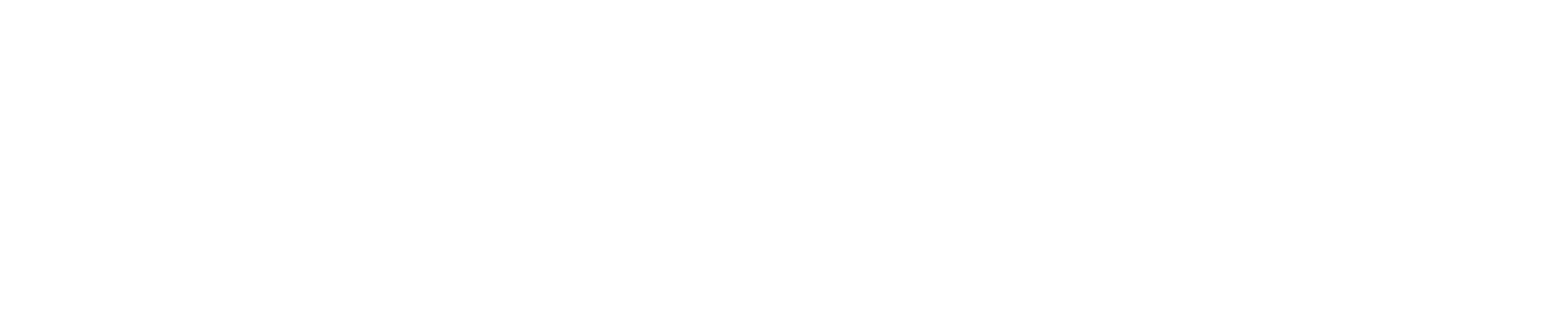 Experience