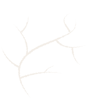 Nerve Icon