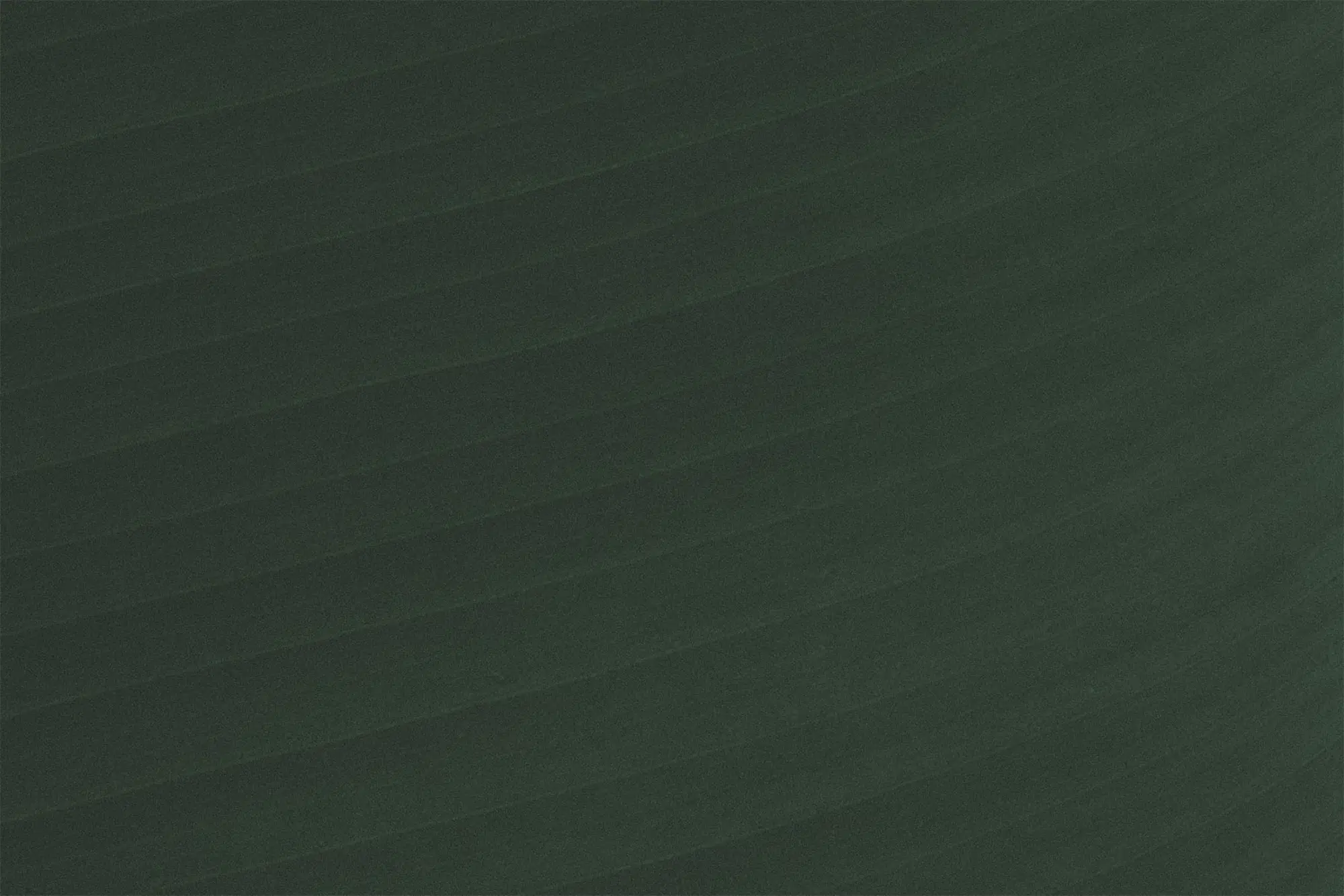 Dark green texture pattern