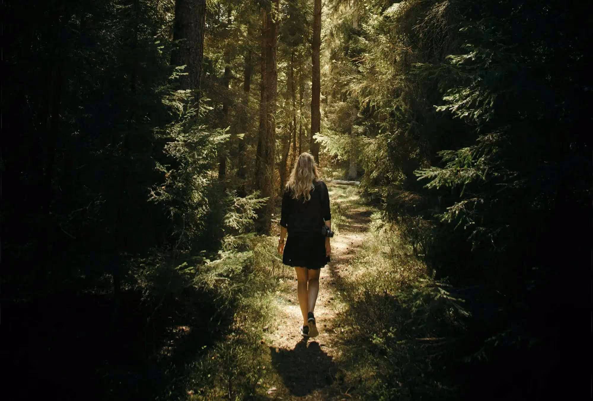 Forest path background image