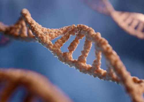 Three dimensional DNA molecule