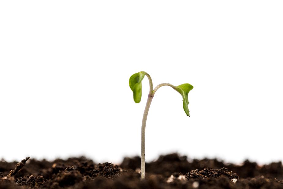 Business growth
