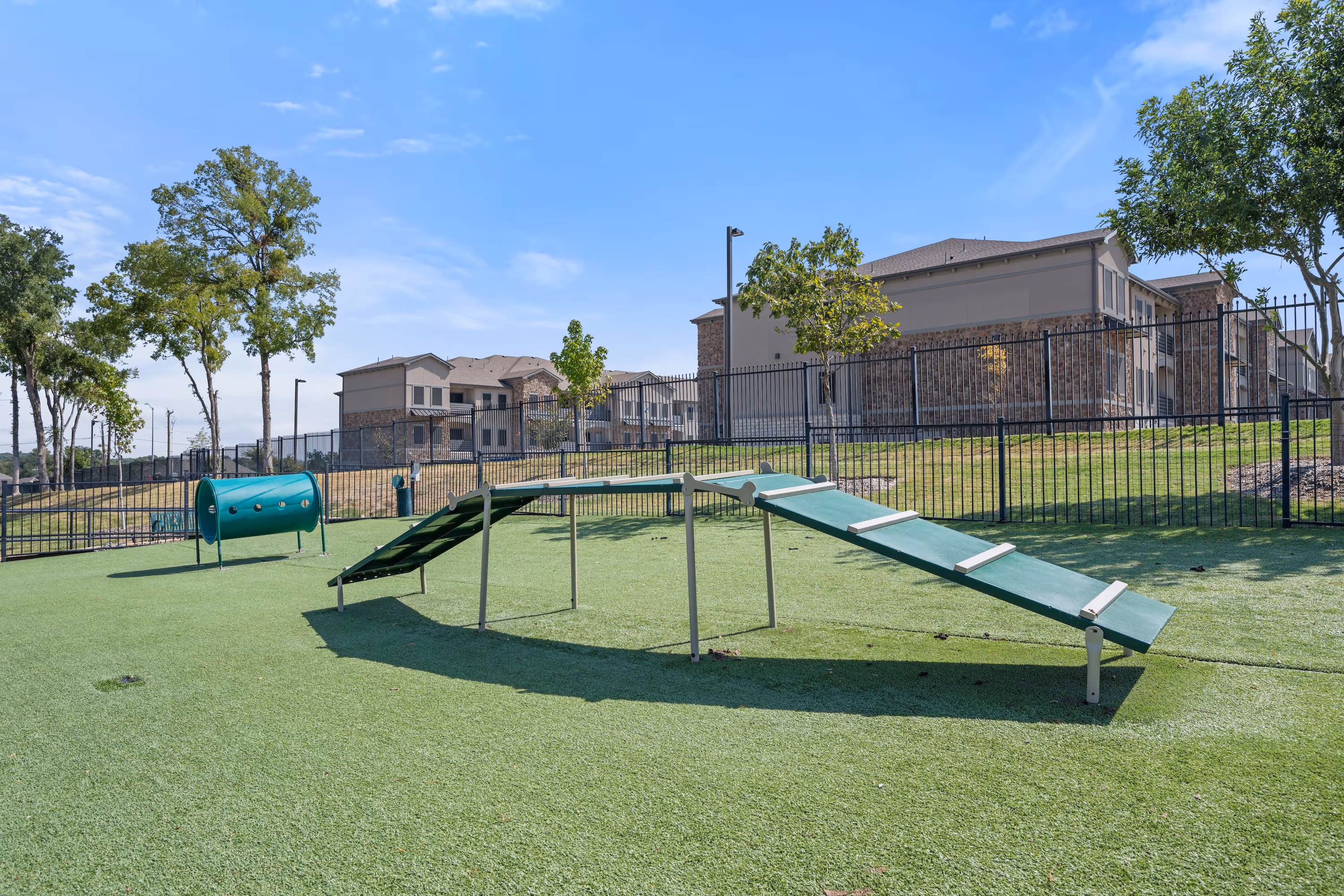 Dog park ramp