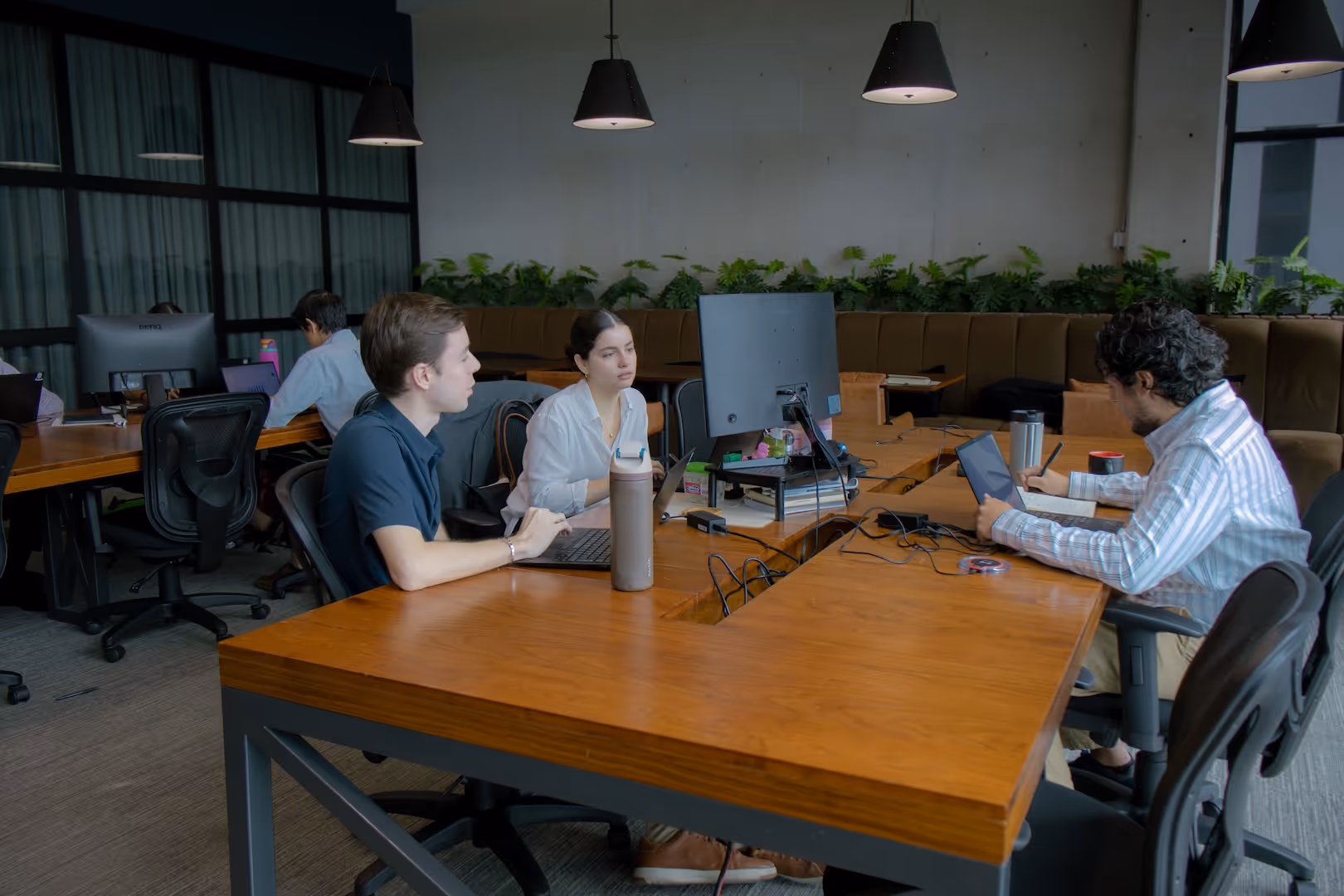 Three people working at a wooden desk in an office with laptops, a monitor, and plants in the background.