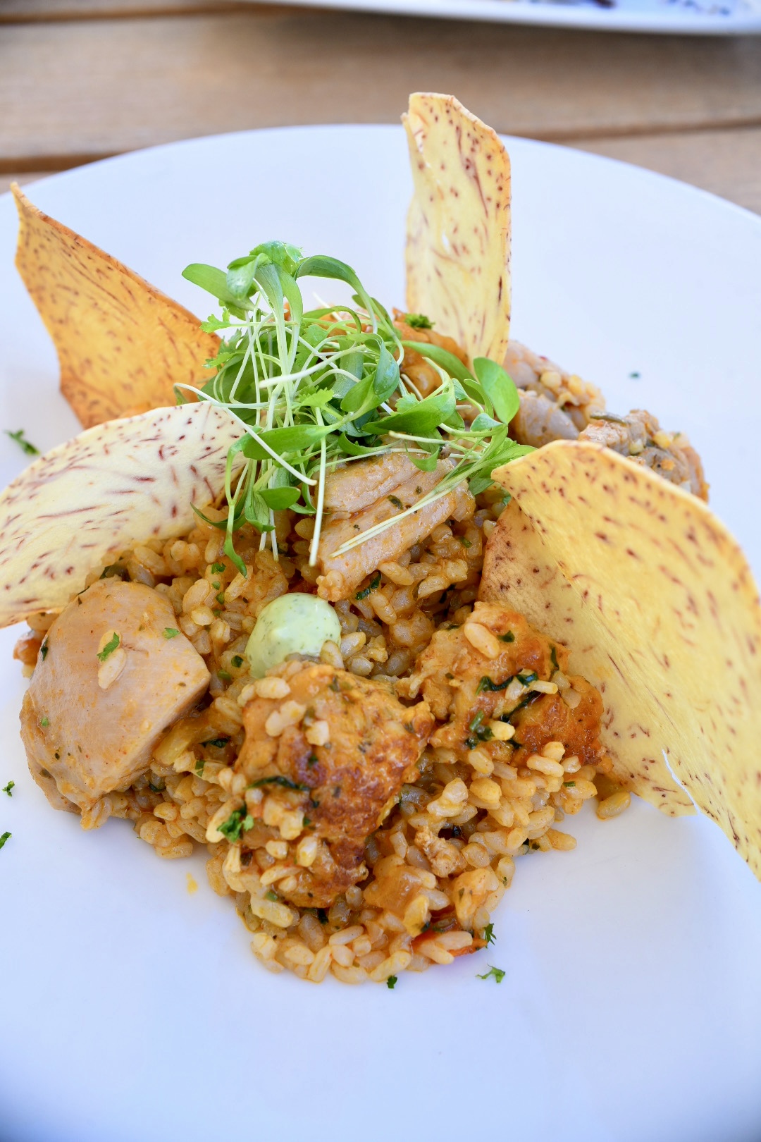 Arroz con Pollo