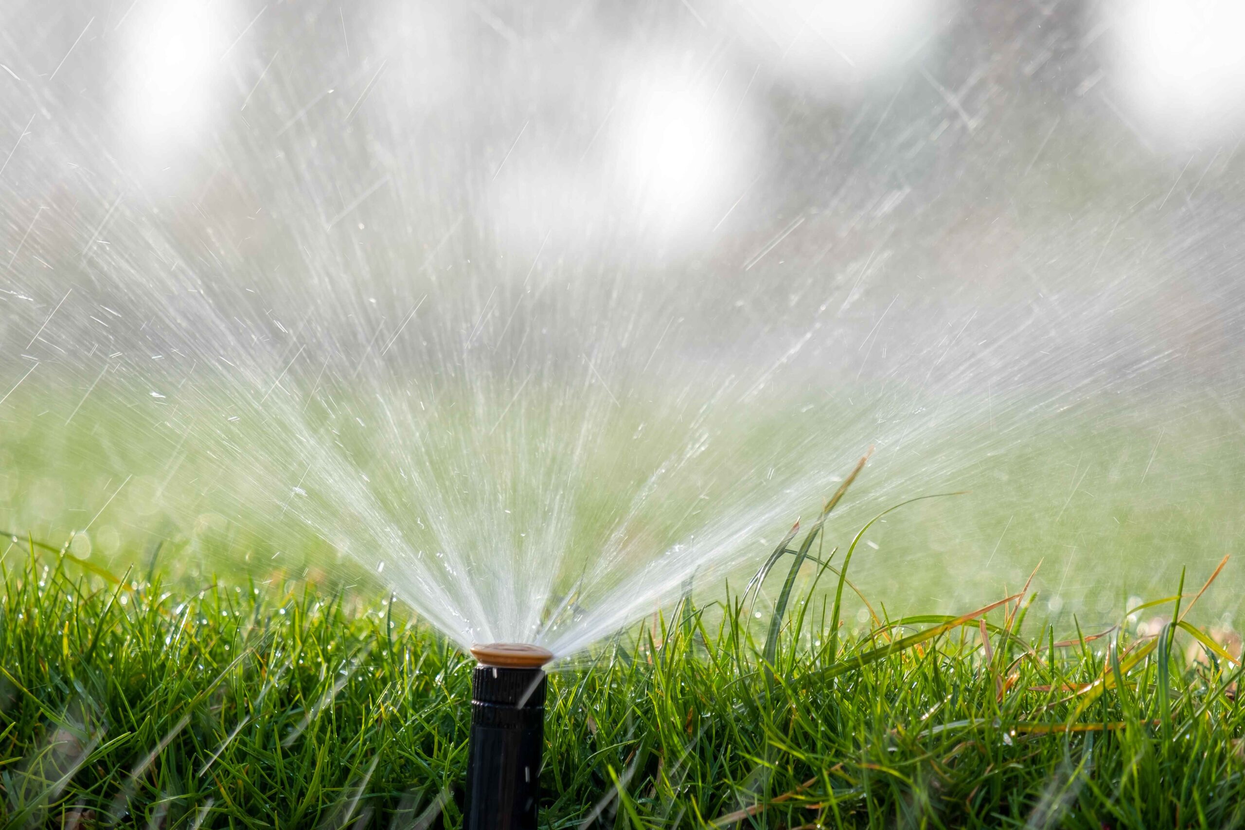 winterize sprinkler system scaled | Opulands Landscape Design & Construction