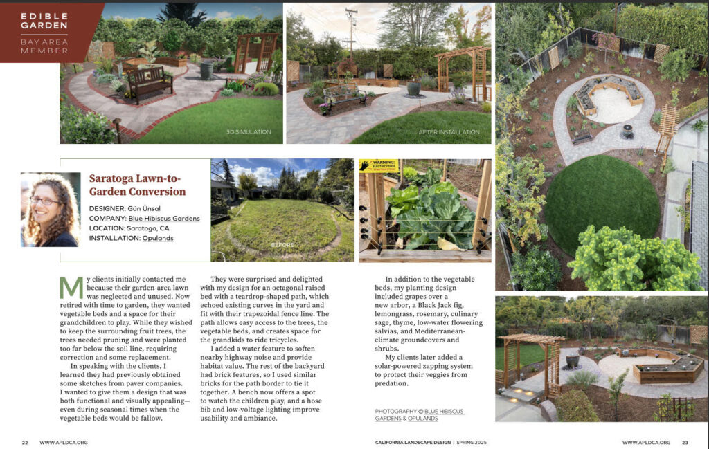 unnamed 21 | Opulands Landscape Design & Construction
