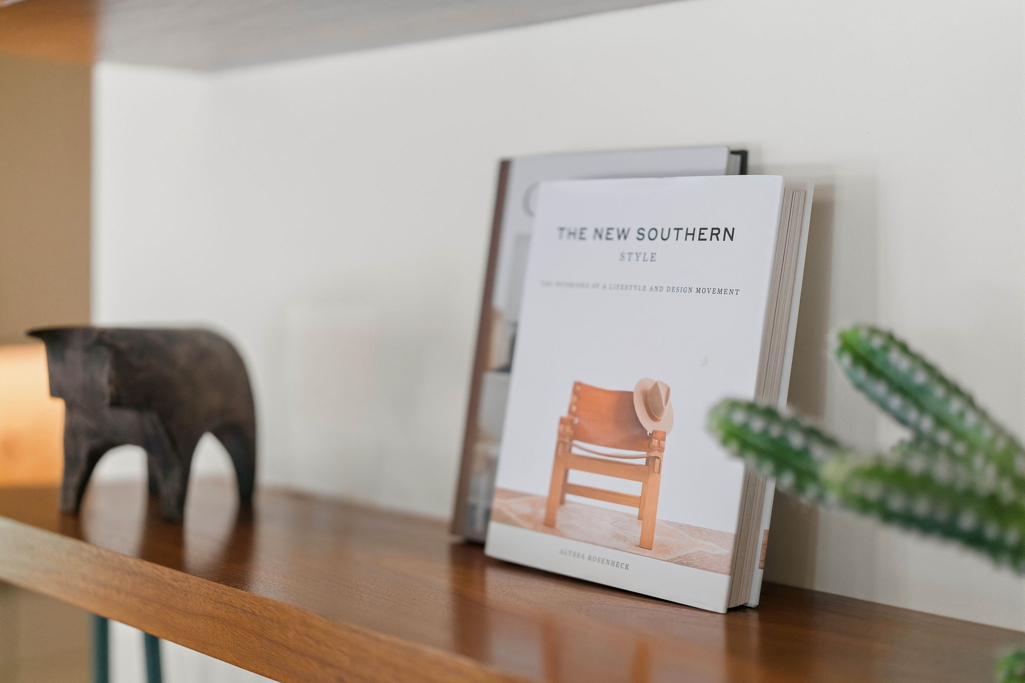 Design book and sculptural accents on a wood shelf