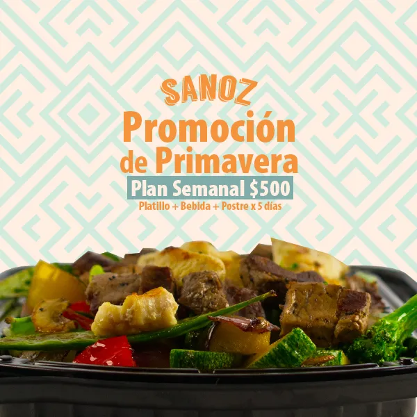 Sanoz Food meal options: extra protein and low carb