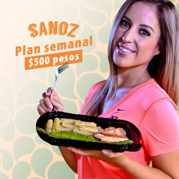 Sanoz Food branding: logo, labels, menus, and social media assets