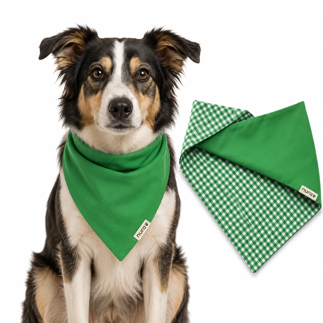 Dog wearing a Nura double-sided green bandana