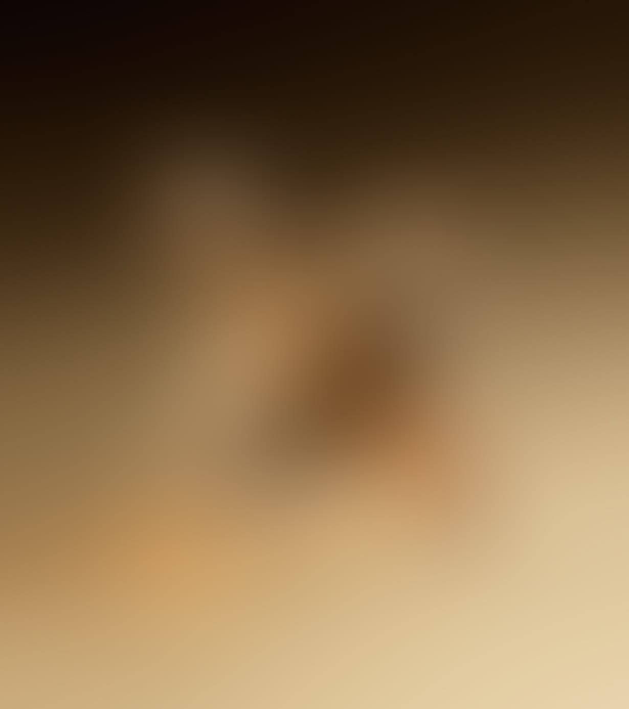 Image is blurred and details are not distinguishable.