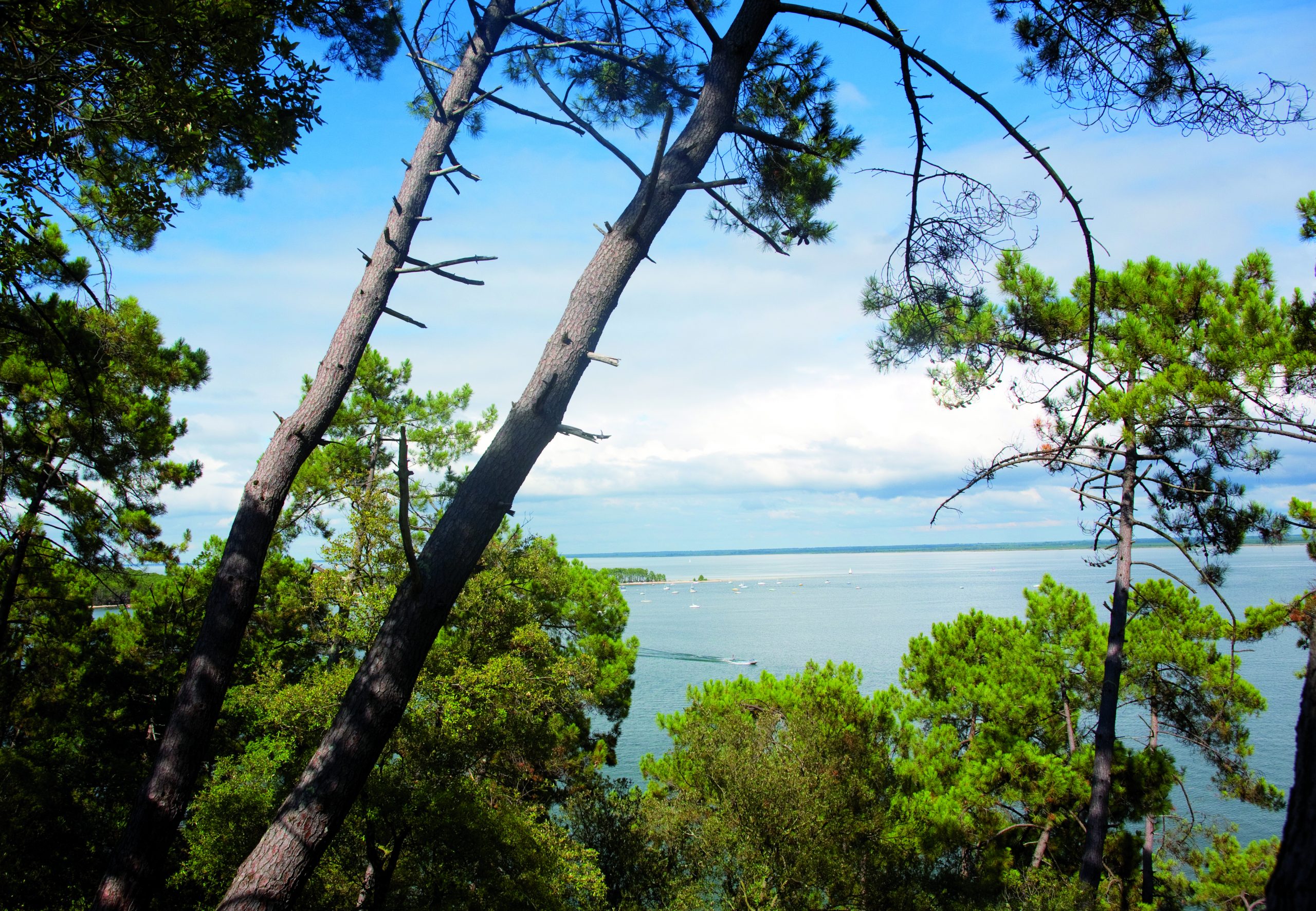 Le lac de Maubuisson : baignade, paddle et sports nautiques
