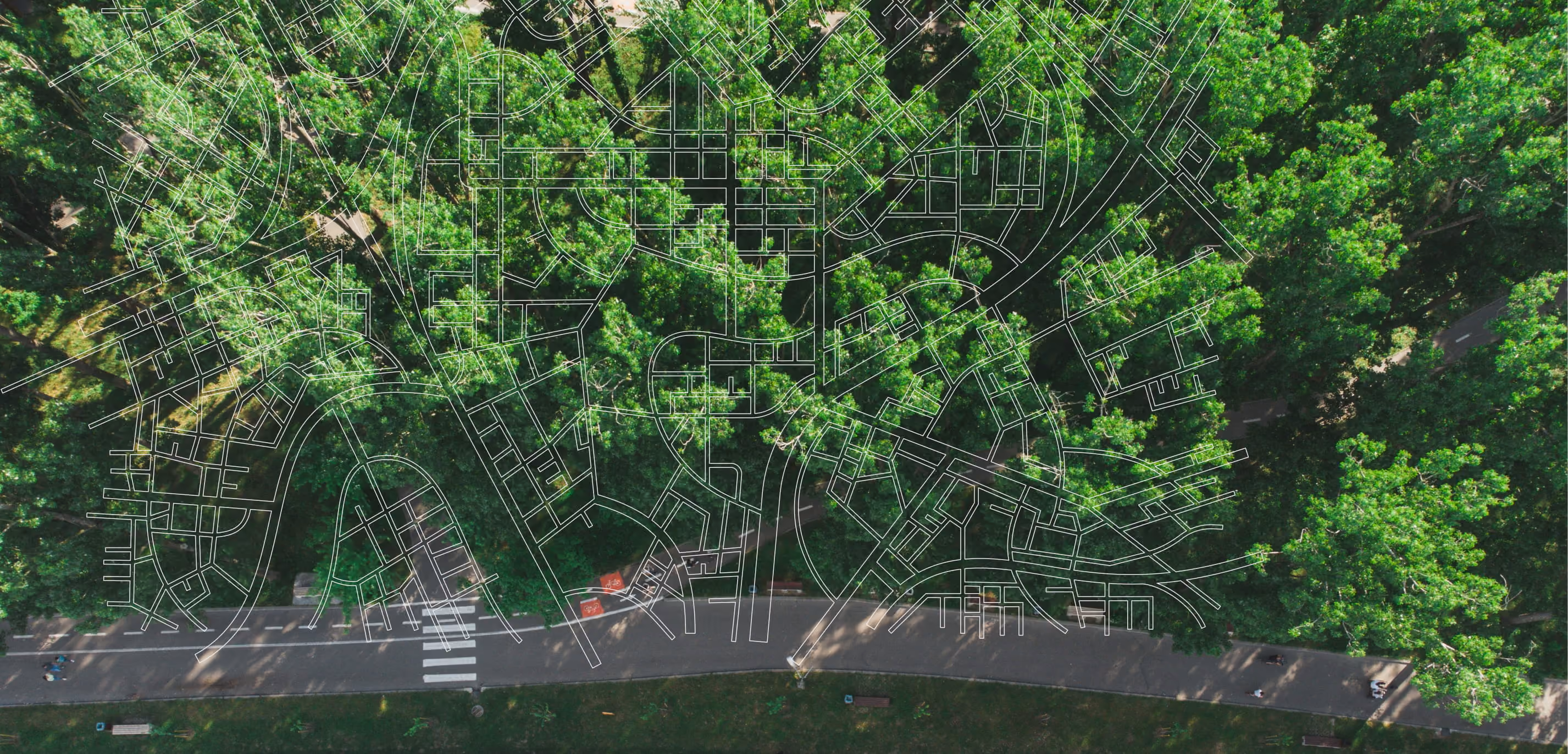 Aerial photo of a tree-lined road with a pedestrian crosswalk, used as a decorative footer background.