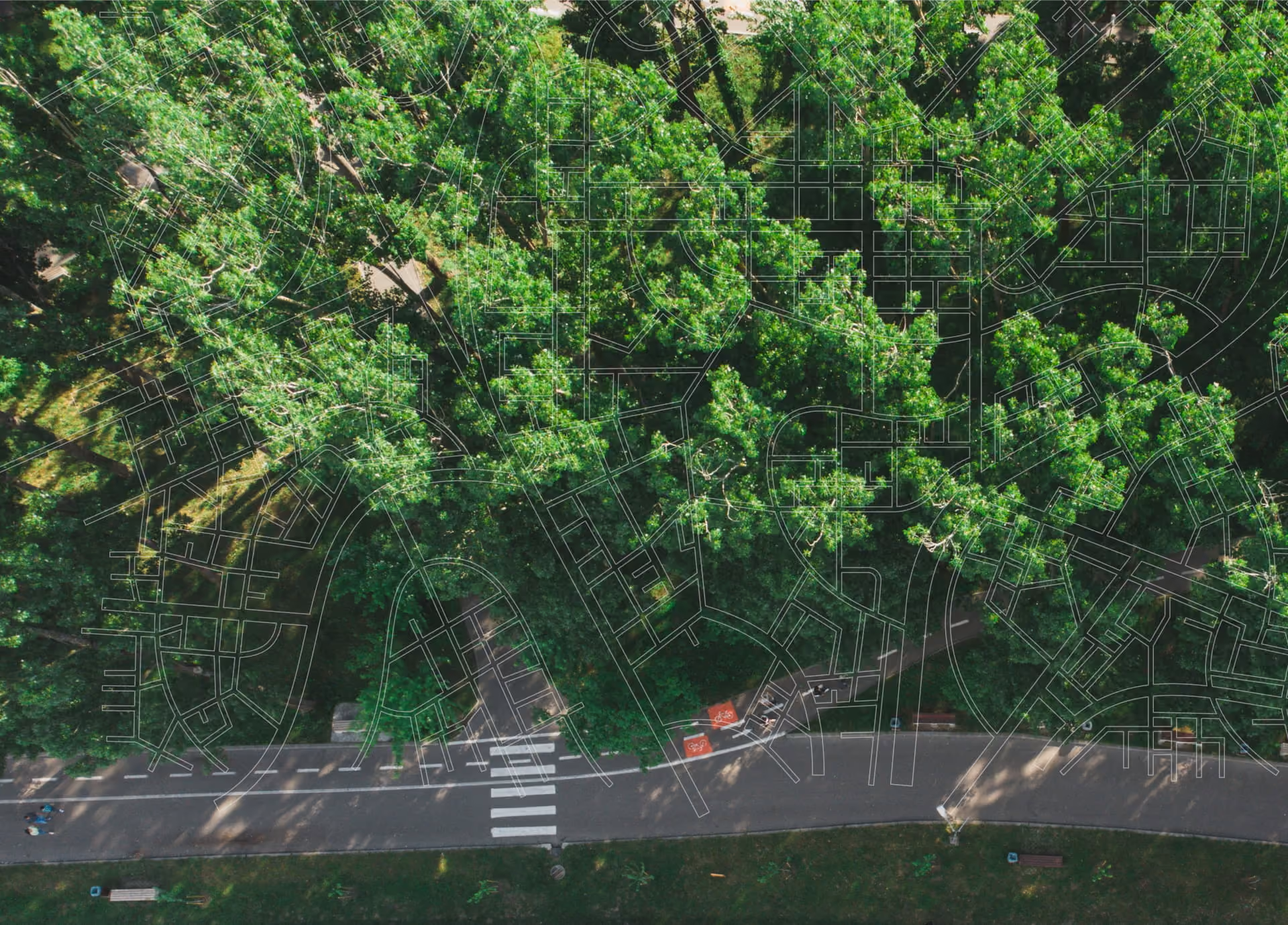 Aerial photo of a tree-lined road with a pedestrian crosswalk.