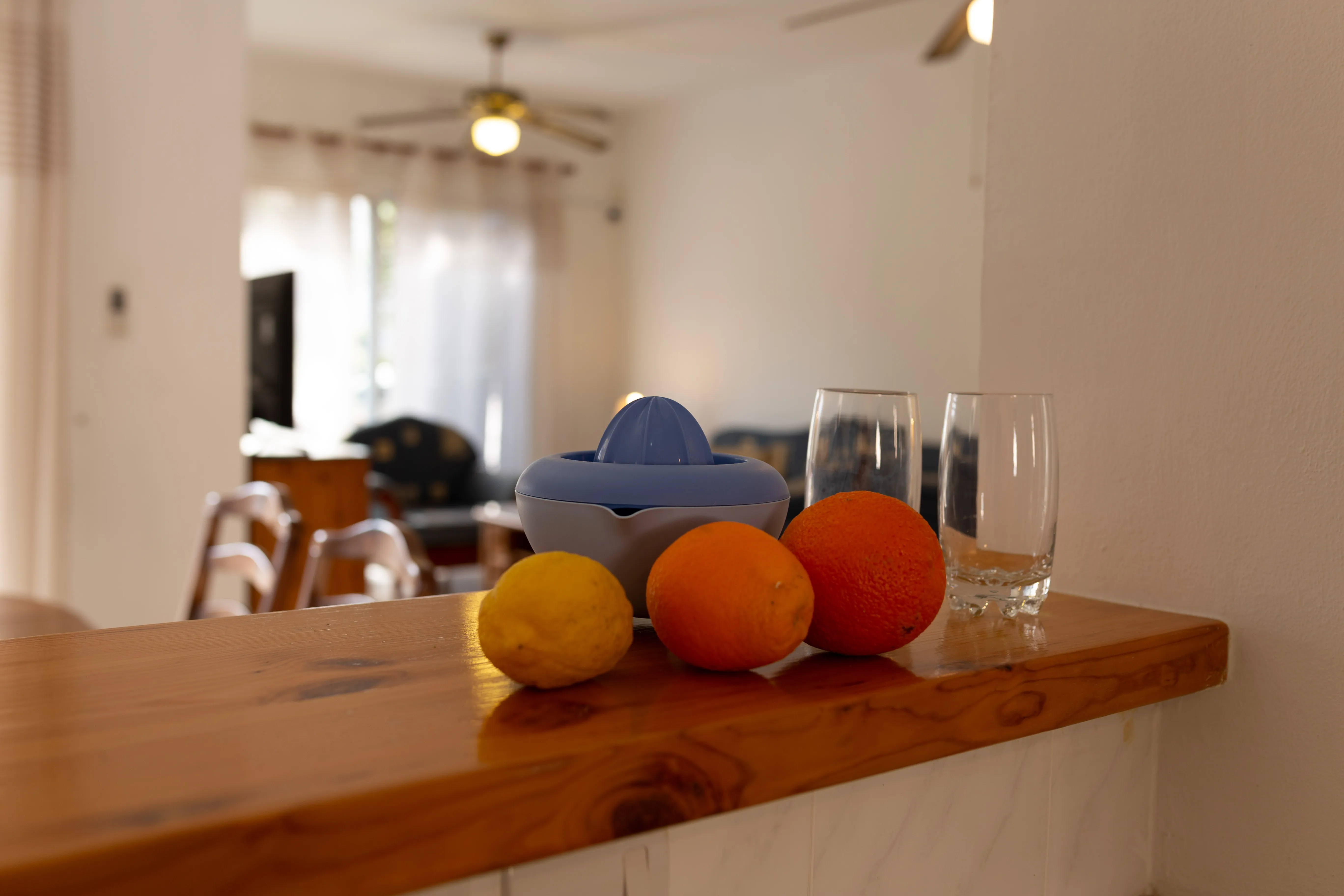 Fresh oranges and lemon on the kitchen counter at Villa Nadezda