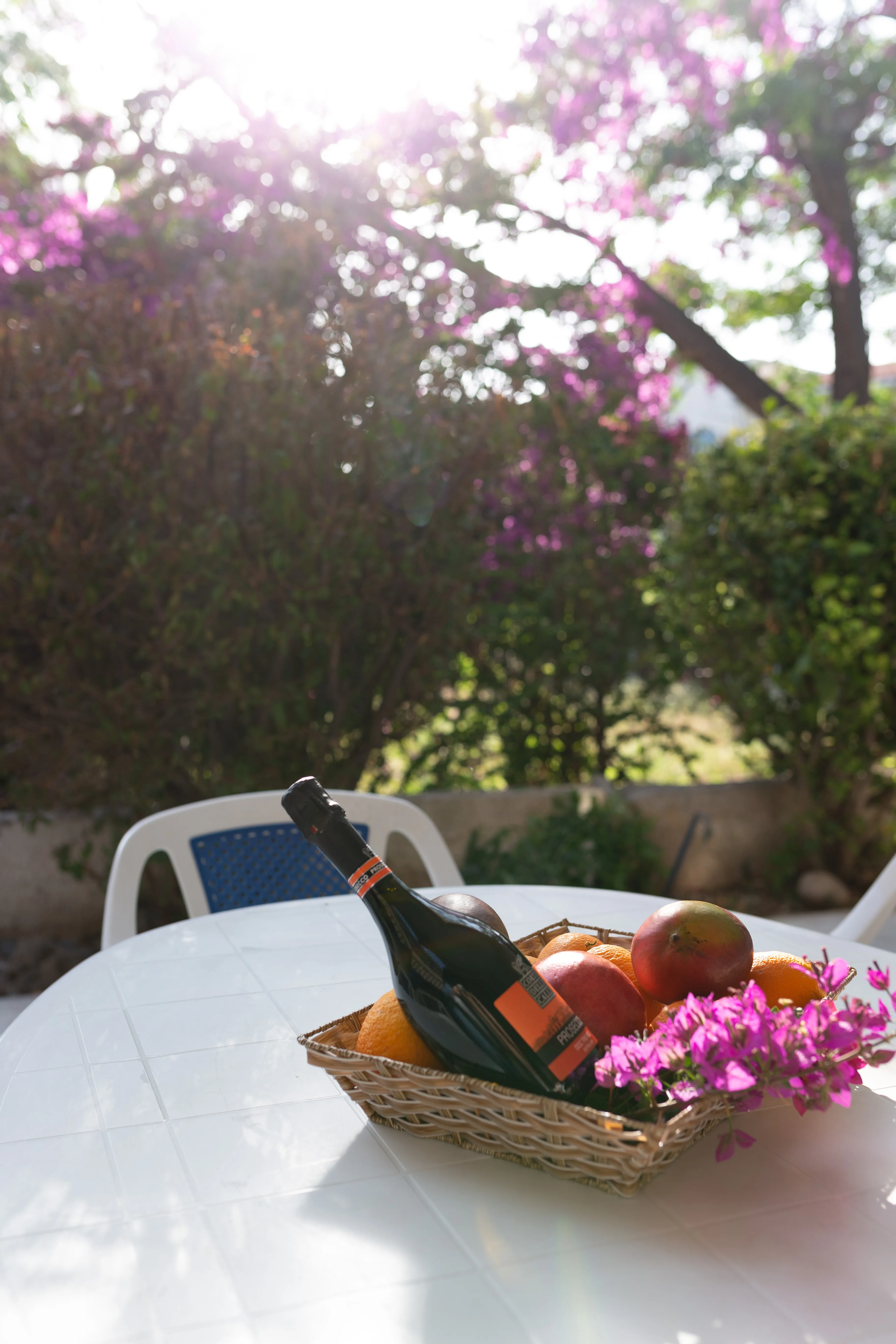Fruit basket and prosecco on the patio table in the garden of Villa Nadezda