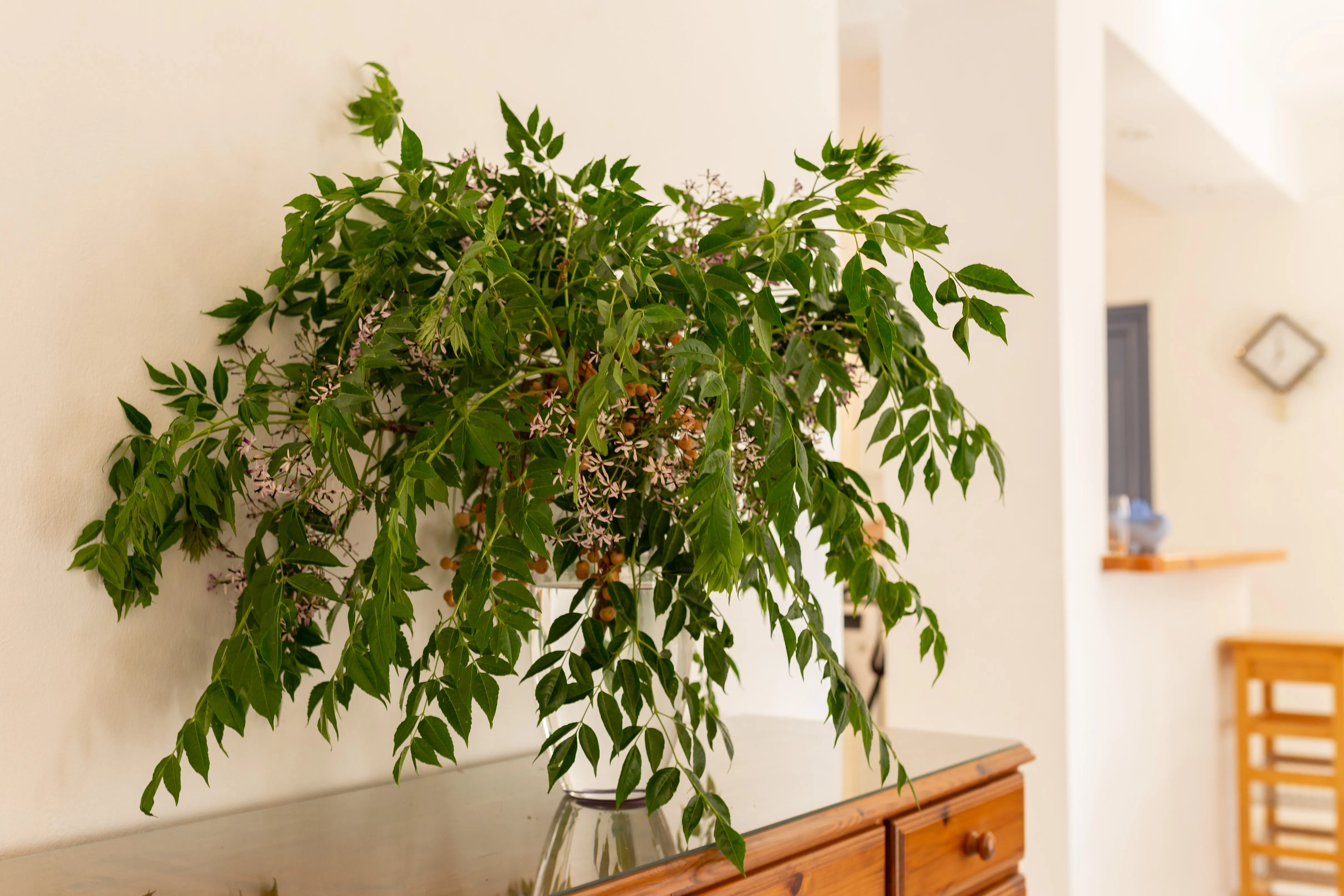 Fresh flowers in the entrance hall of Villa Nadezda